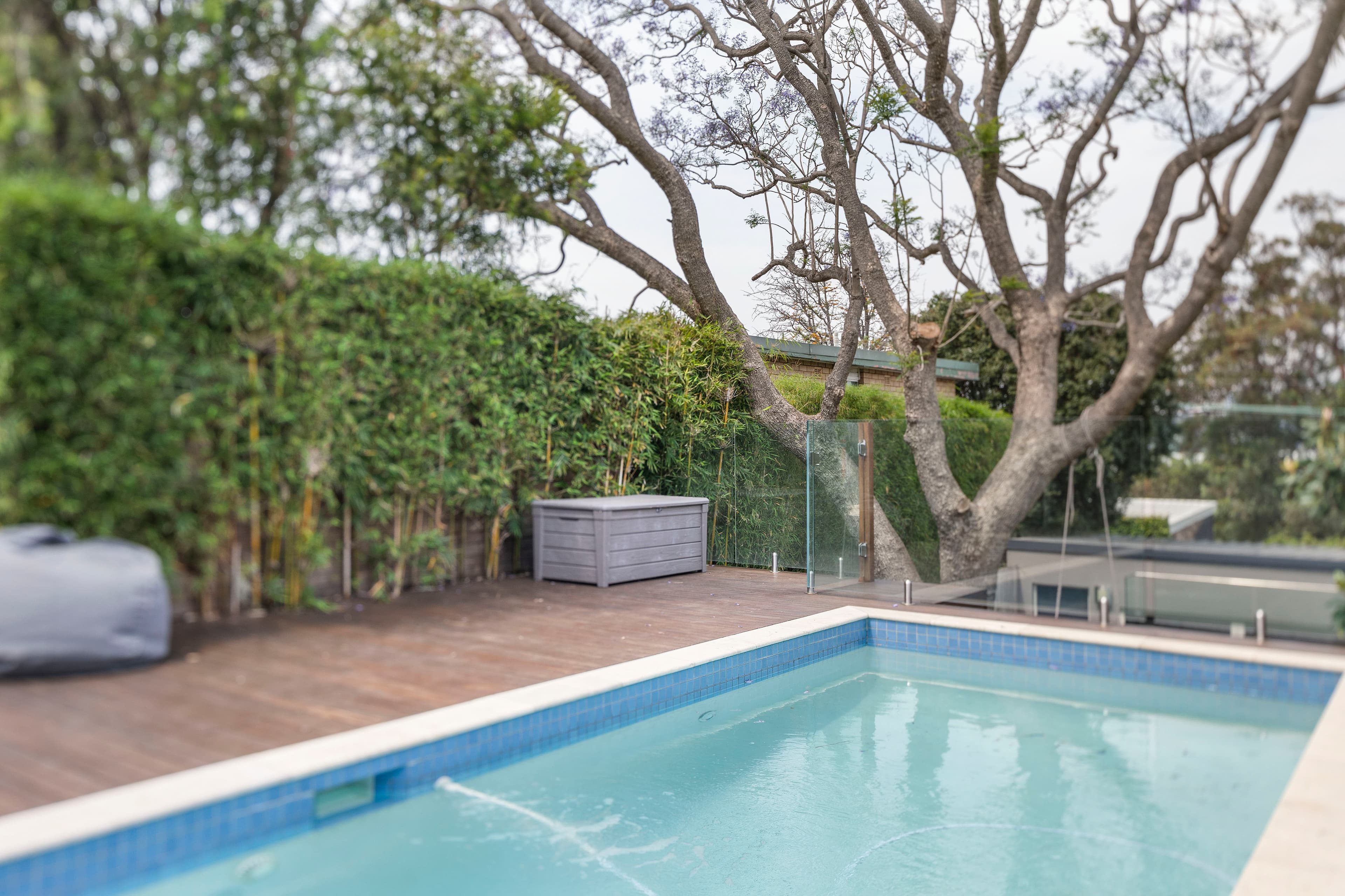 219 Trafalgar Street, Annandale - Thumbnail 6