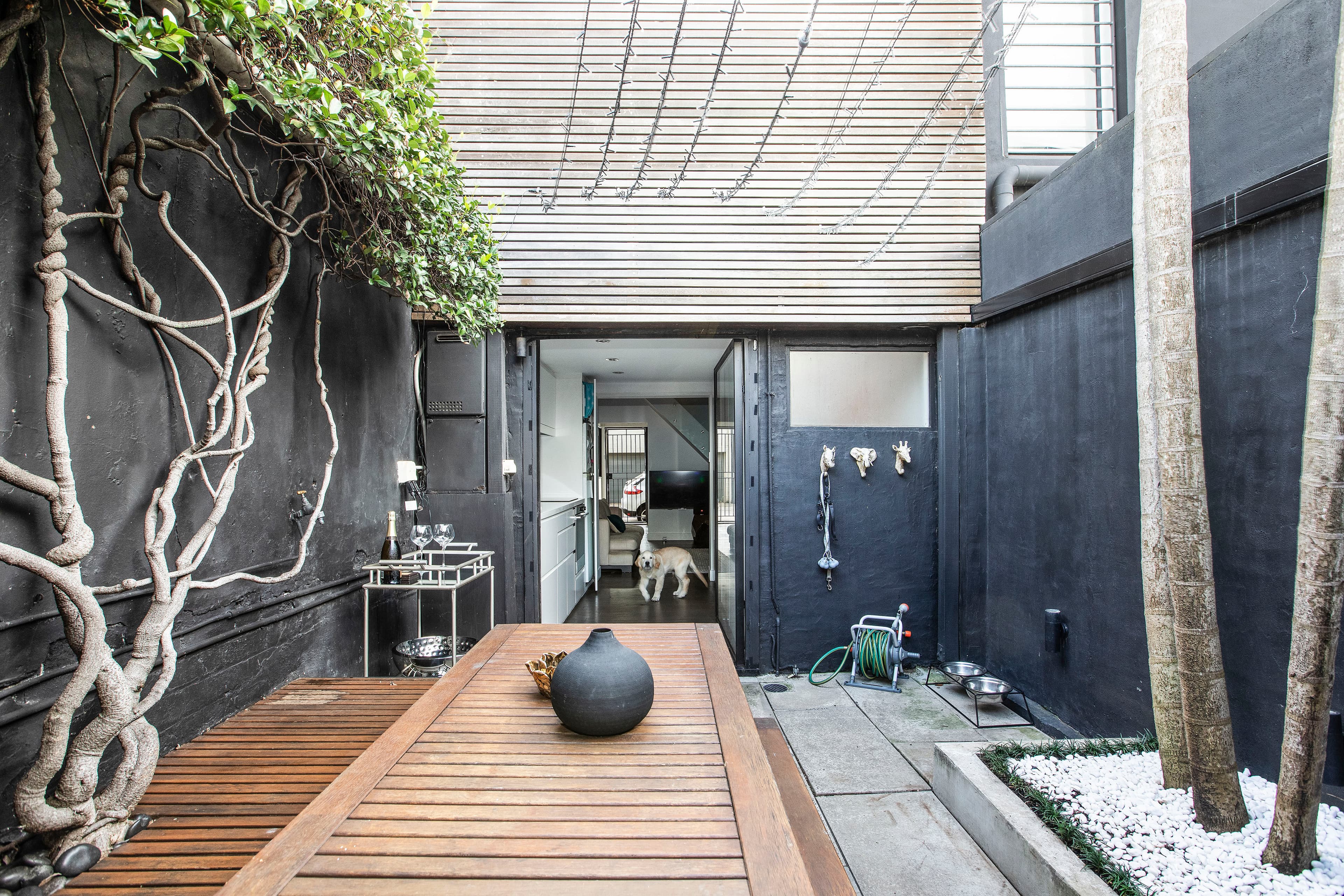 41 Iris Street, Paddington - Thumbnail 2