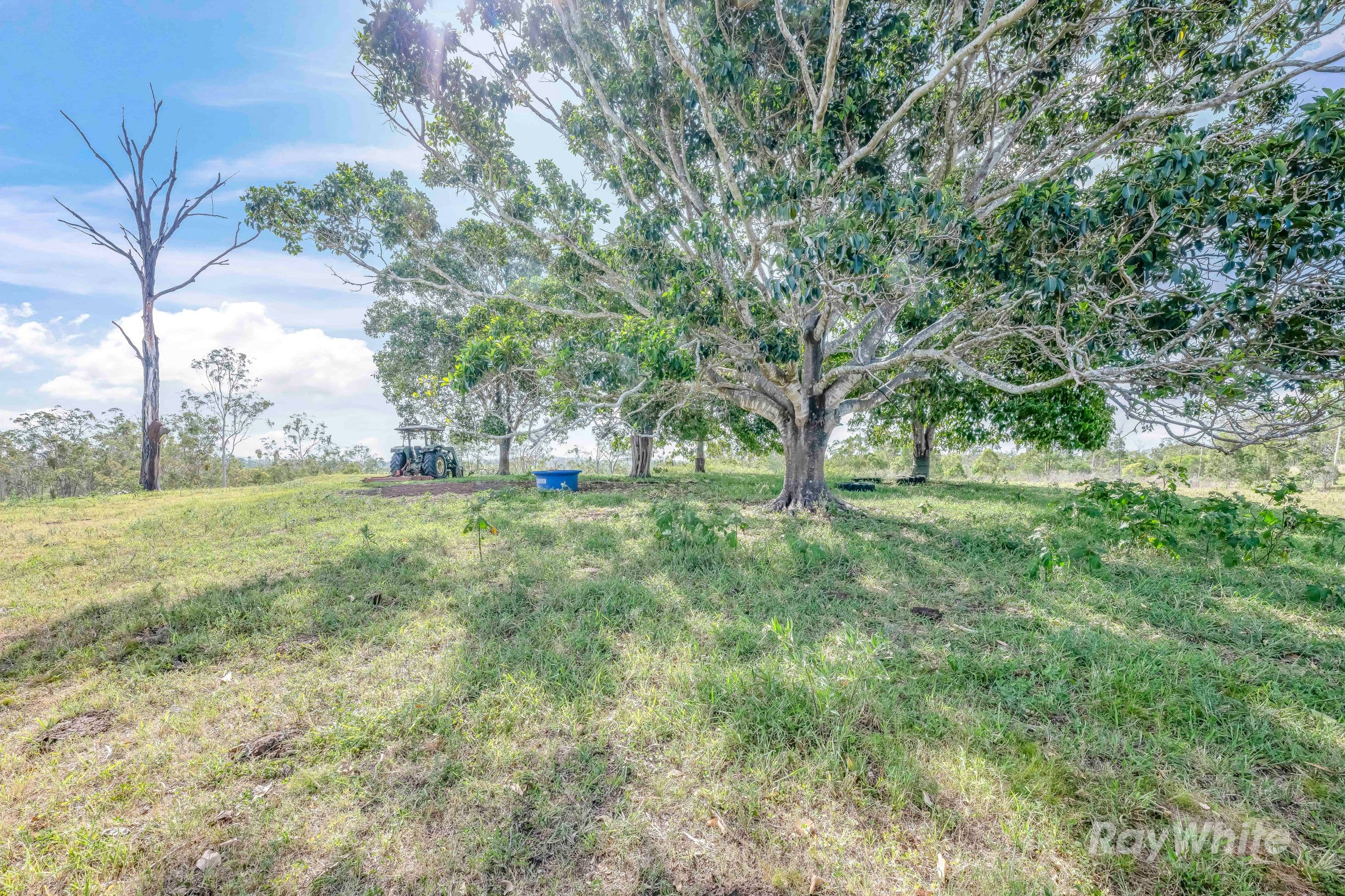 35515 Bruce Highway, Monduran QLD 4671, Monduran - Thumbnail 4