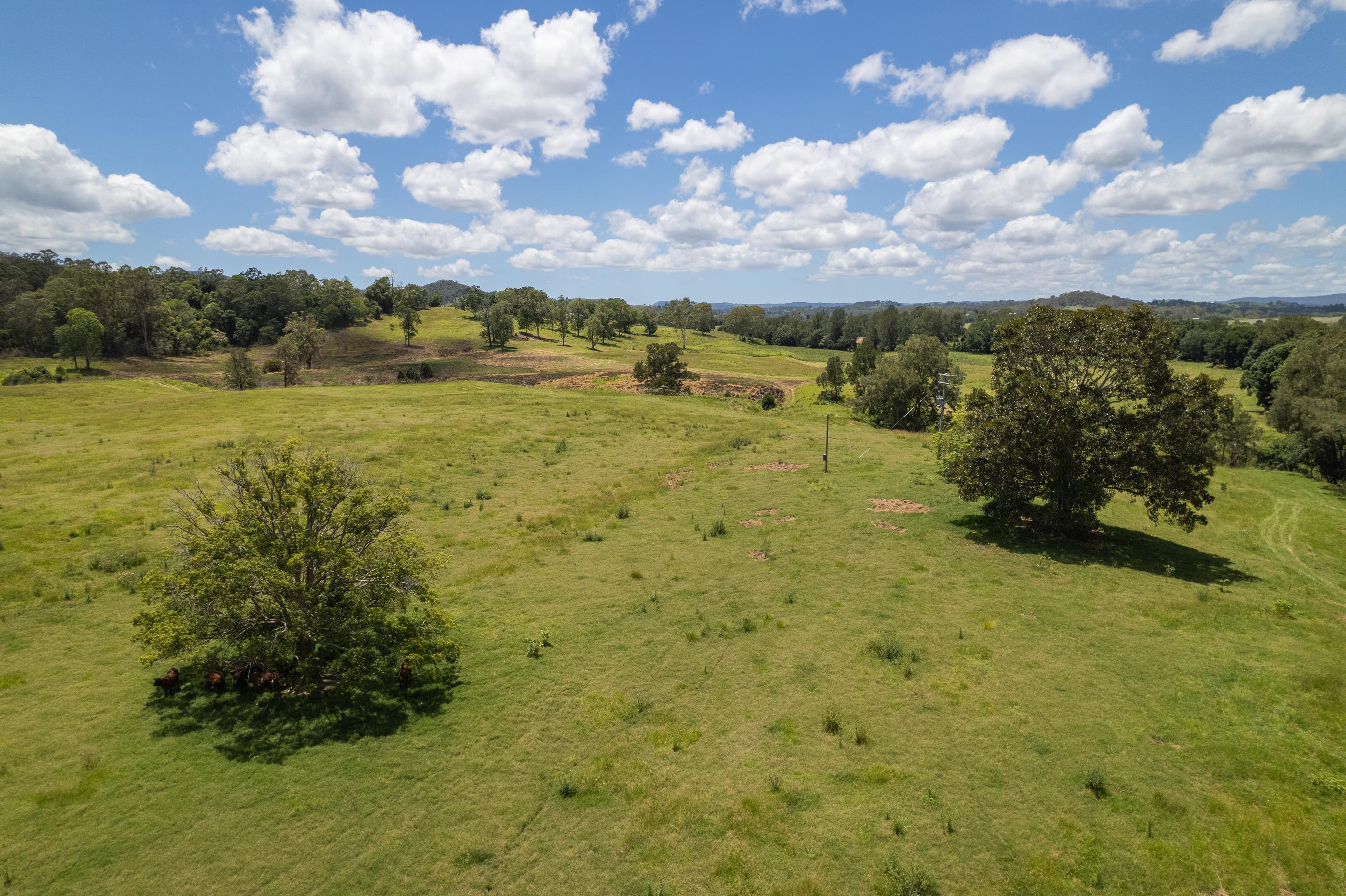 1197 Kenilworth - Skyring Creek Road, Tuchekoi QLD 4570, Tuchekoi - Thumbnail 3
