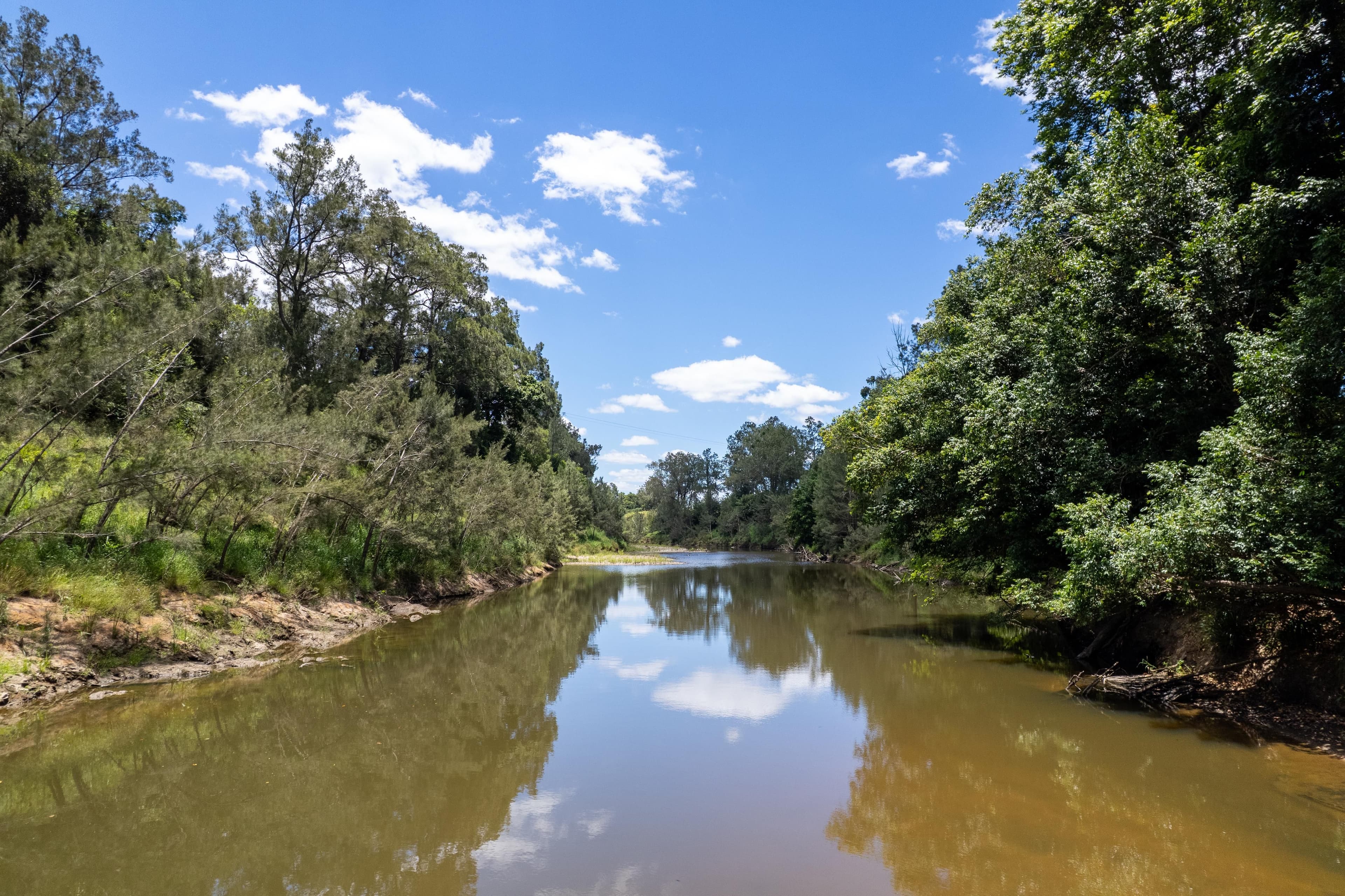 1197 Kenilworth - Skyring Creek Road, Tuchekoi QLD 4570, Tuchekoi - Thumbnail 6