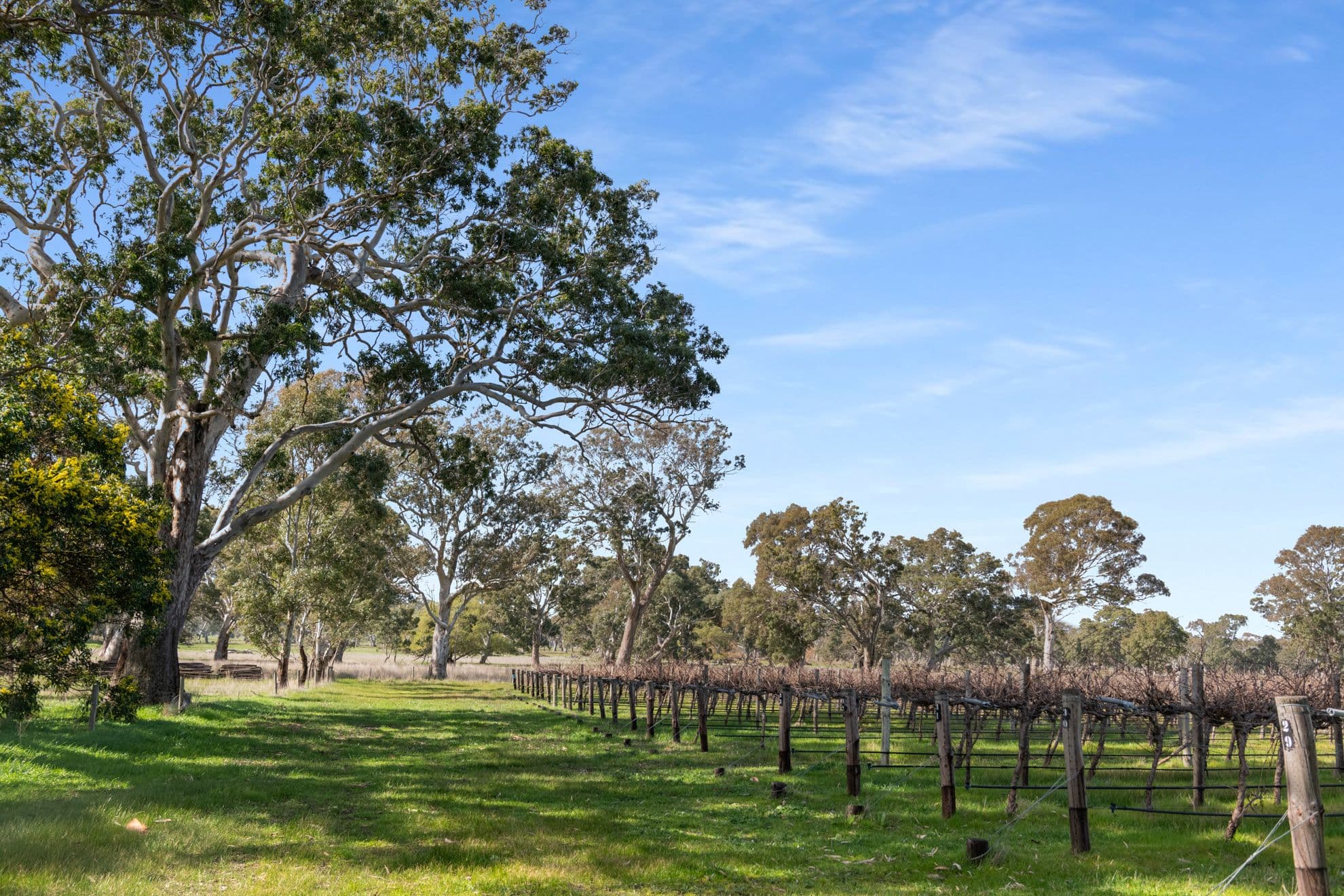 108 Dergholm Road, Penola SA 5277, Penola - Thumbnail 8