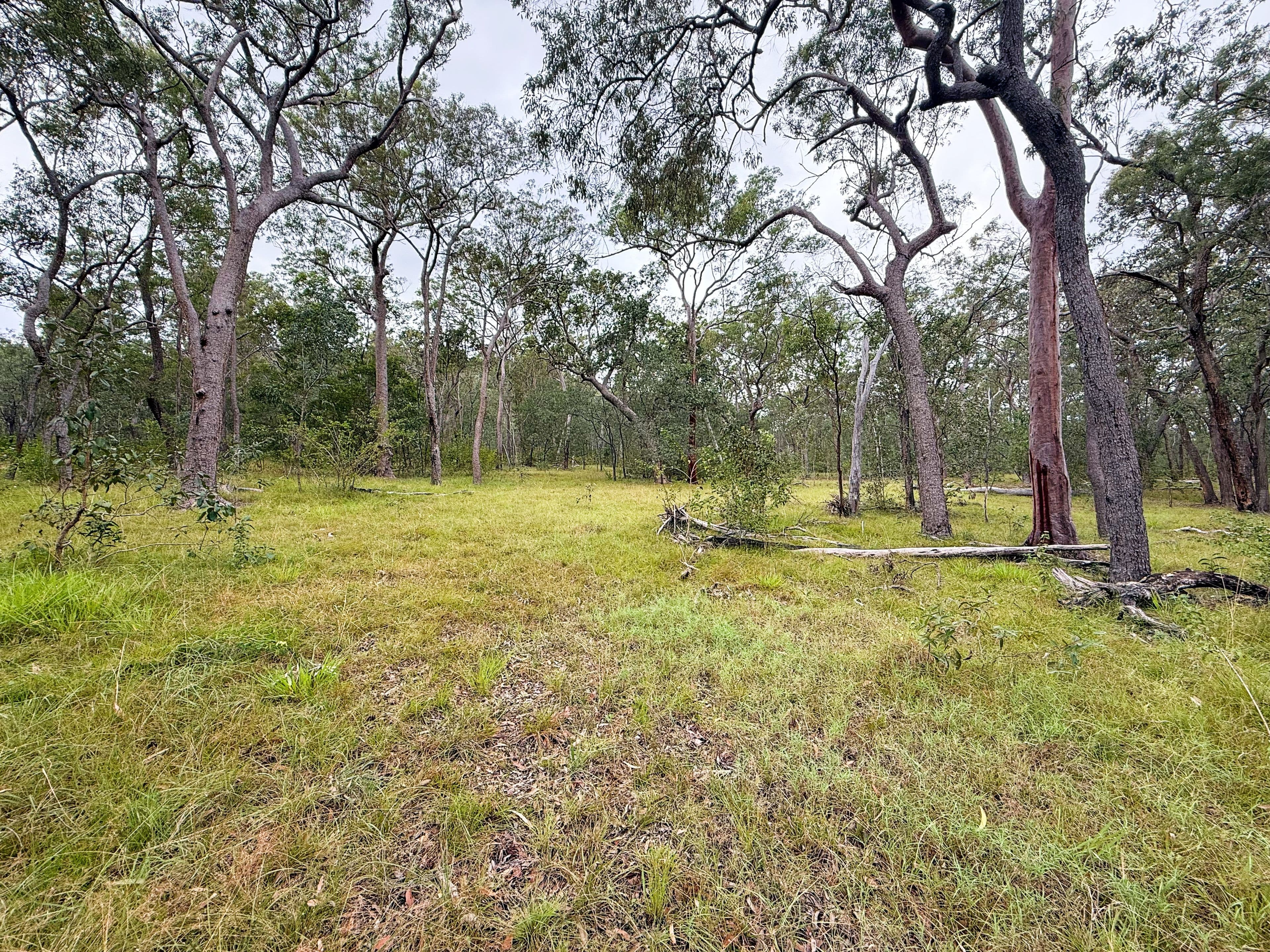 931 Nearum Road, Nearum QLD 4671, Nearum - Image 1