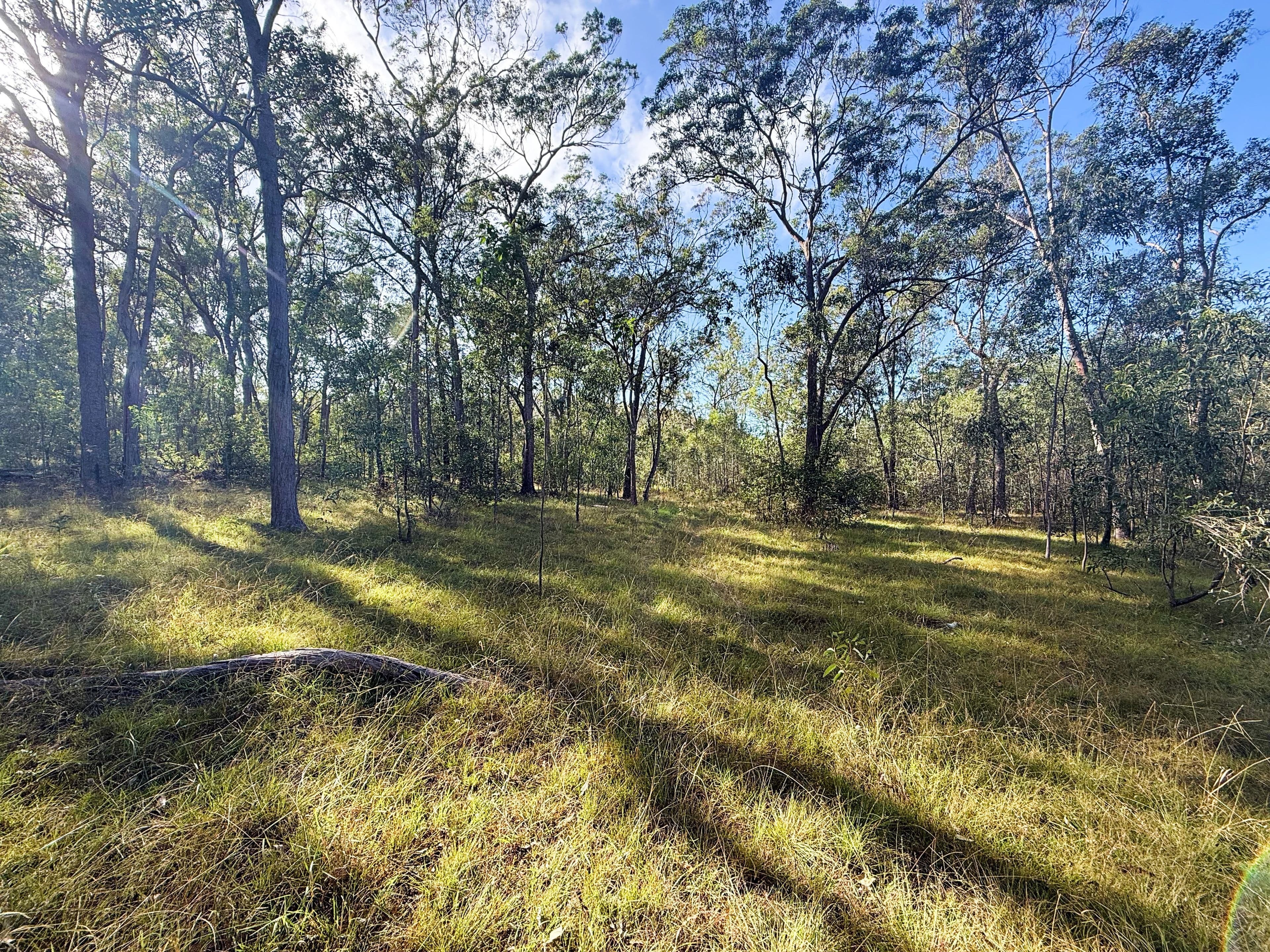 931 Nearum Road, Nearum QLD 4671, Nearum - Thumbnail 3