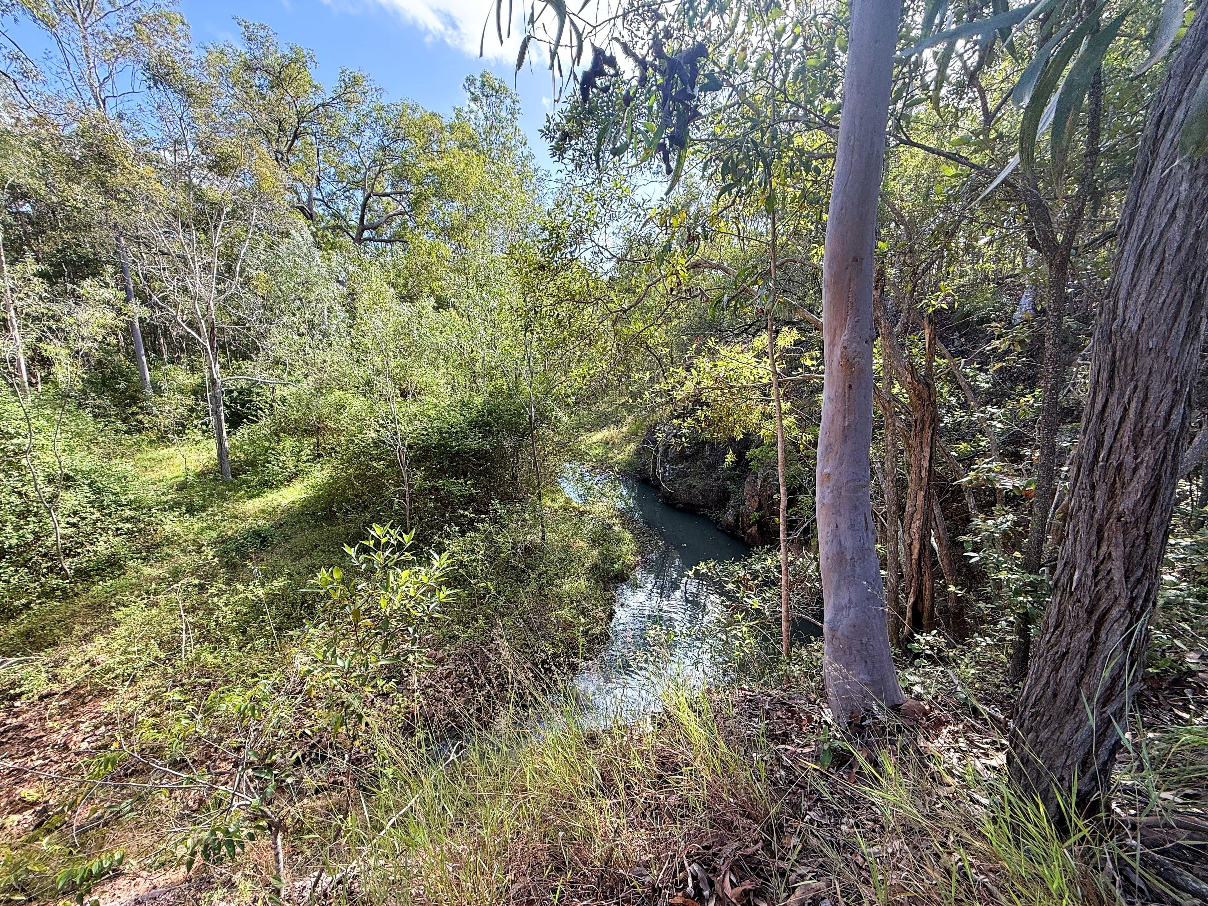 931 Nearum Road, Nearum QLD 4671, Nearum - Thumbnail 4