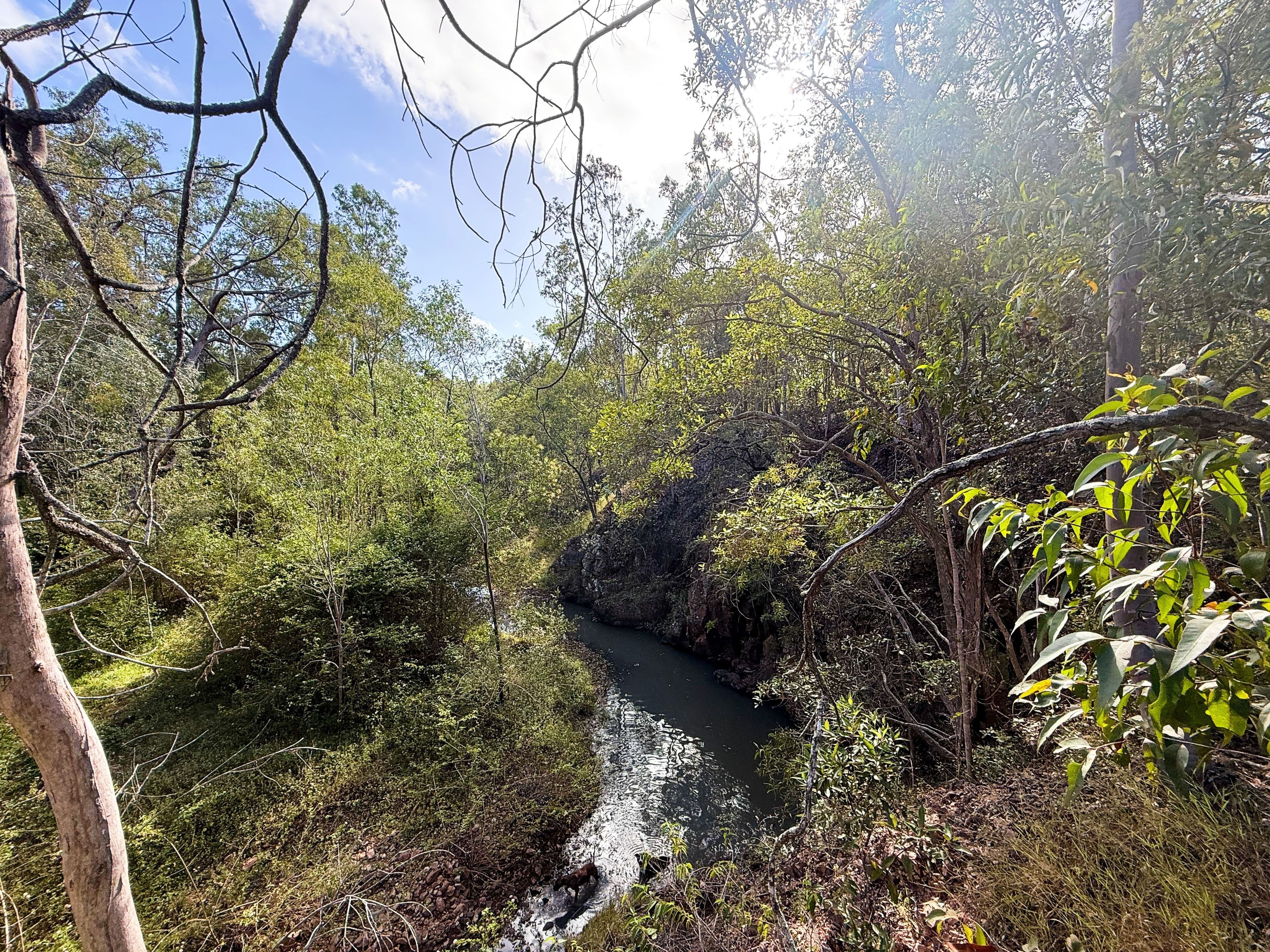 931 Nearum Road, Nearum QLD 4671, Nearum - Thumbnail 5