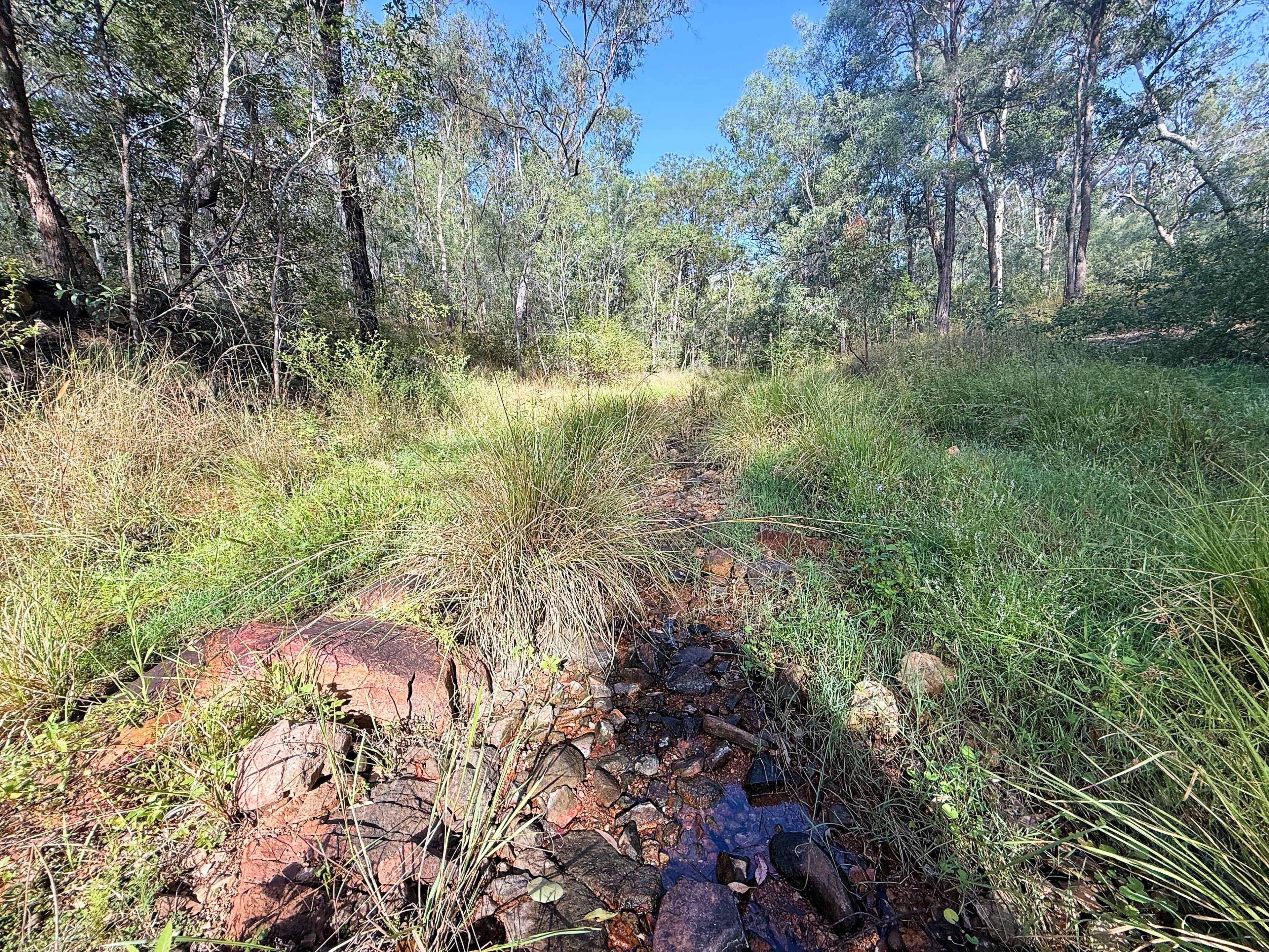 931 Nearum Road, Nearum QLD 4671, Nearum - Thumbnail 7