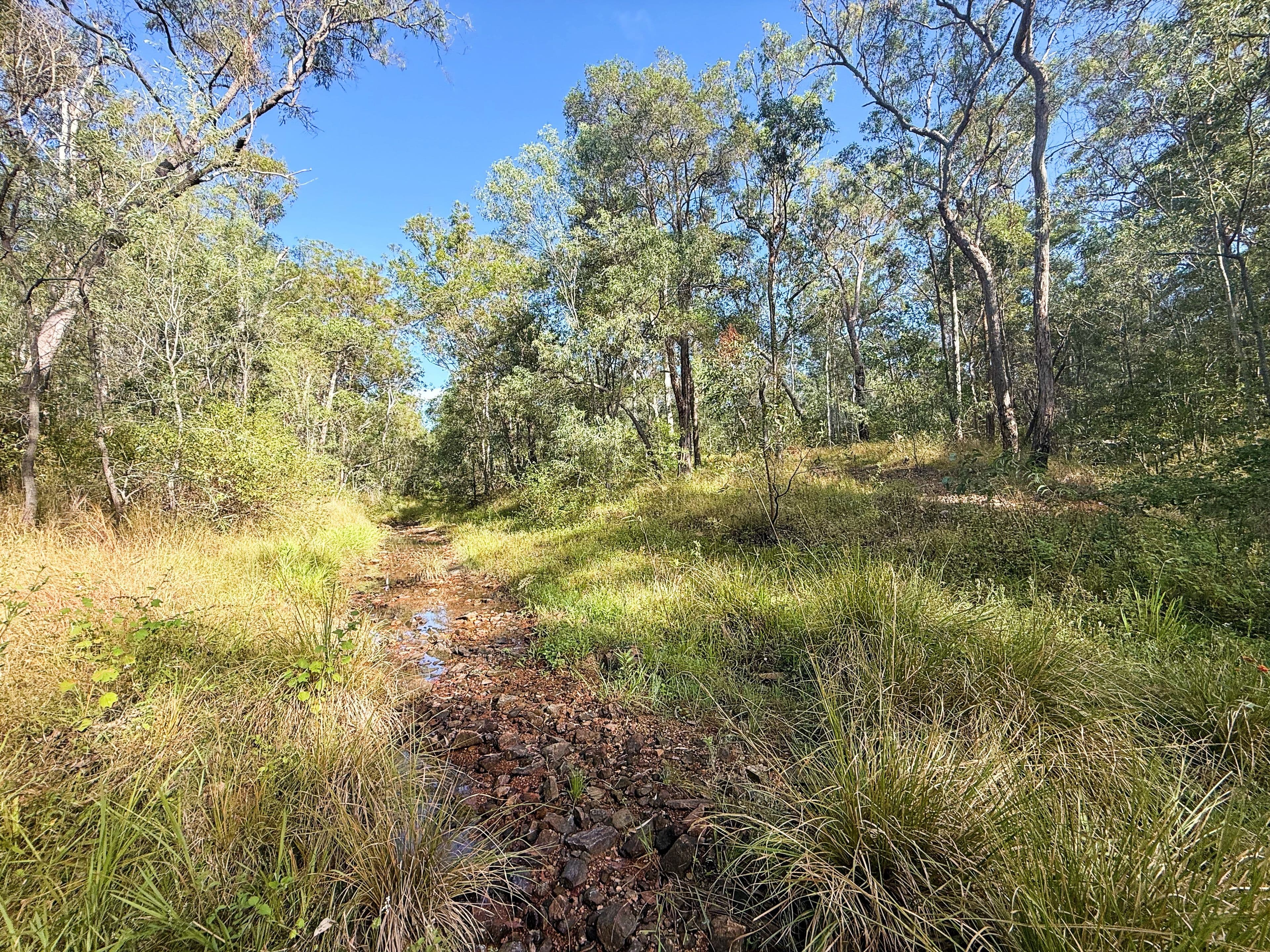 931 Nearum Road, Nearum QLD 4671, Nearum - Thumbnail 8
