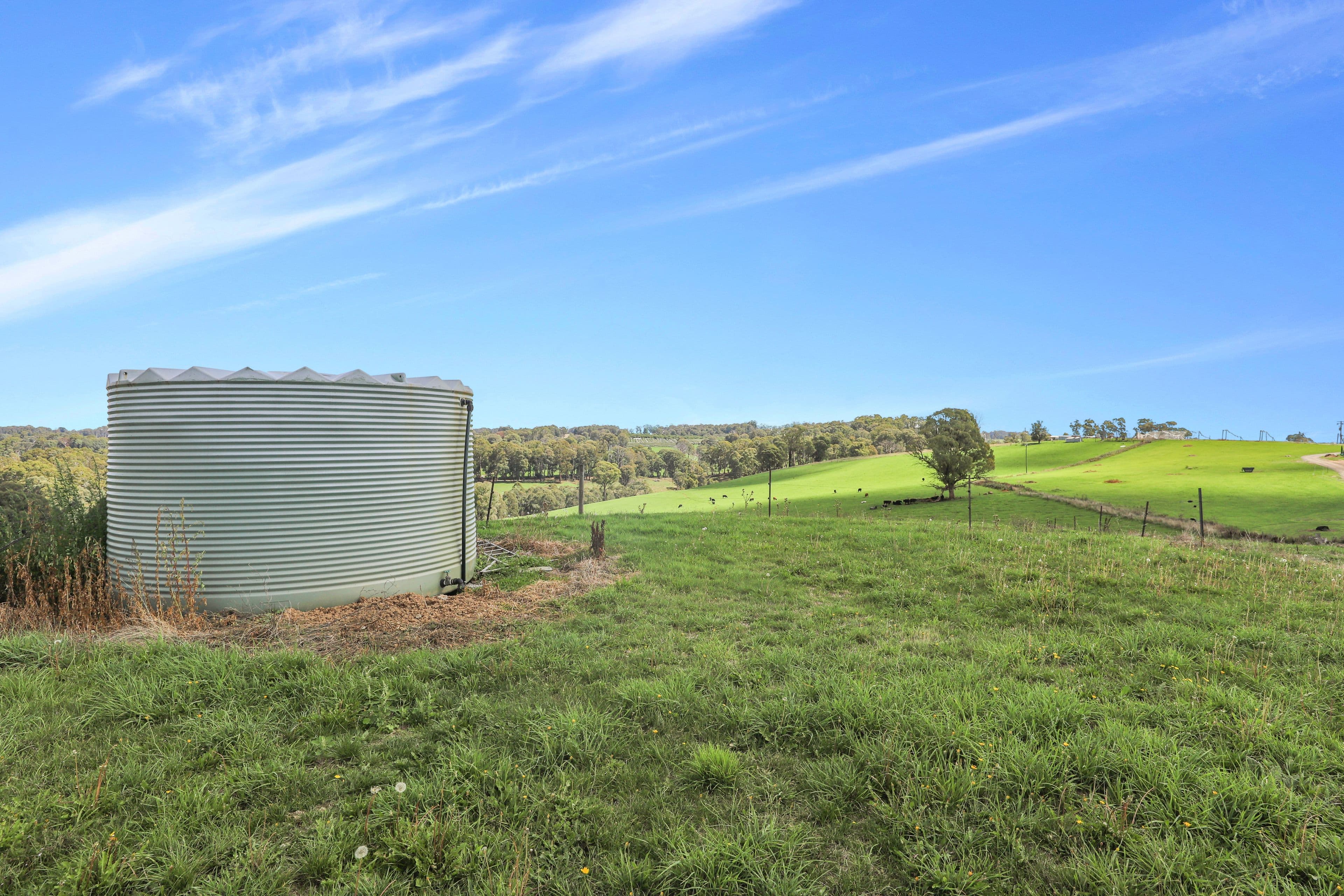 3356 Batlow Road, Batlow NSW 2730, Batlow - Thumbnail 4