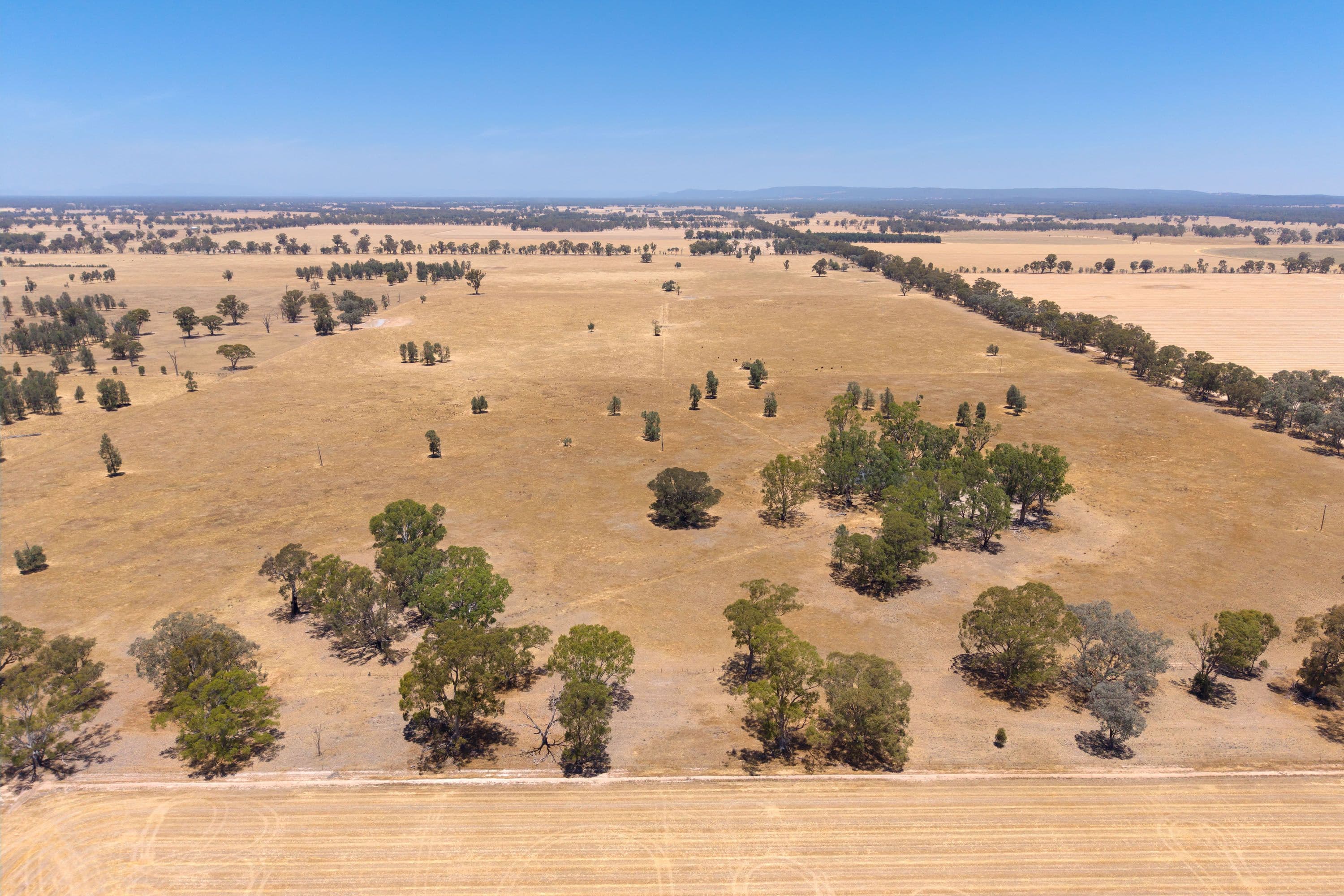 Lot 32 & 34/646 Hallens Road, Norong VIC 3682, Norong - Thumbnail 5