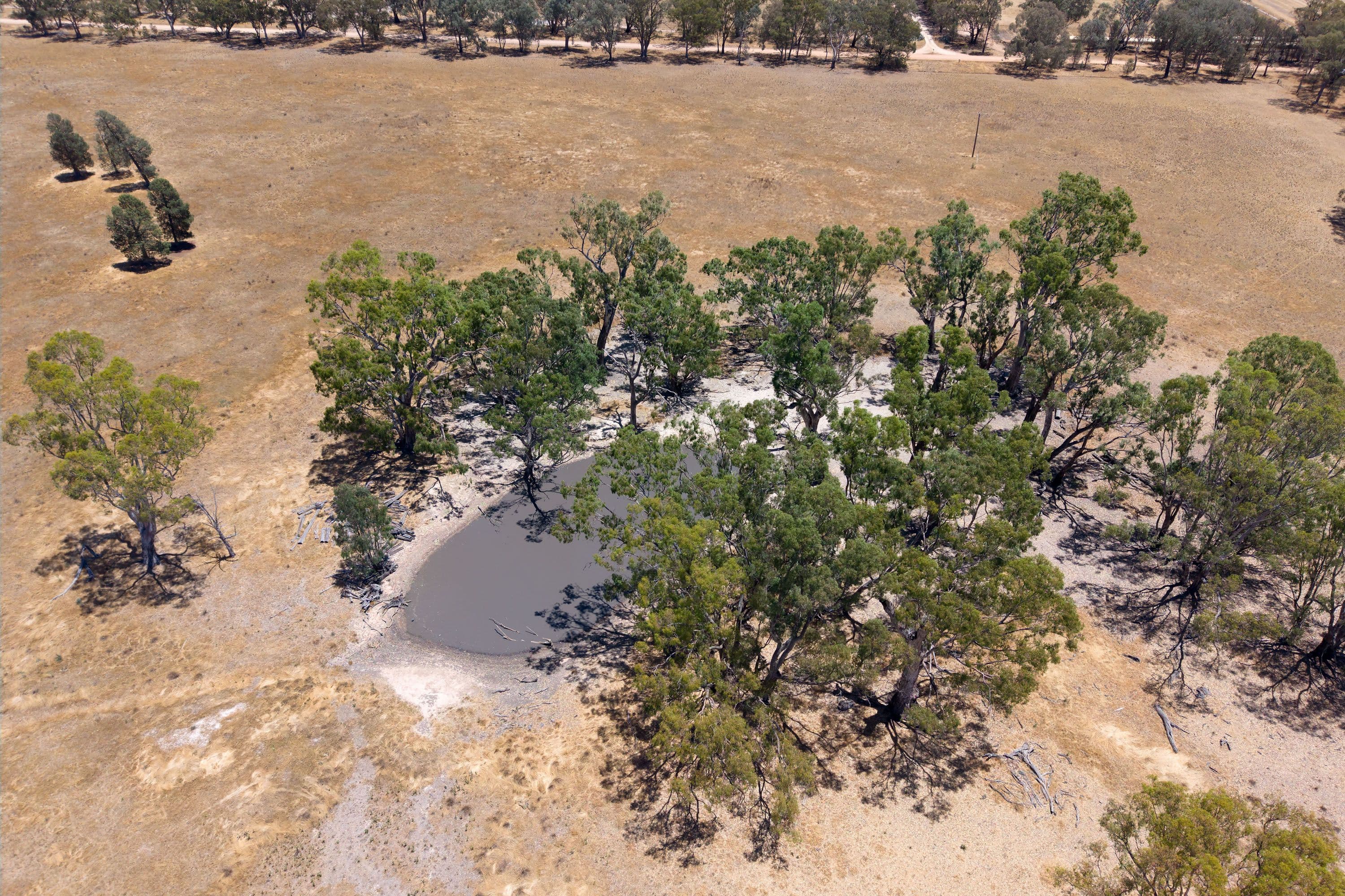 Lot 32 & 34/646 Hallens Road, Norong VIC 3682, Norong - Thumbnail 8