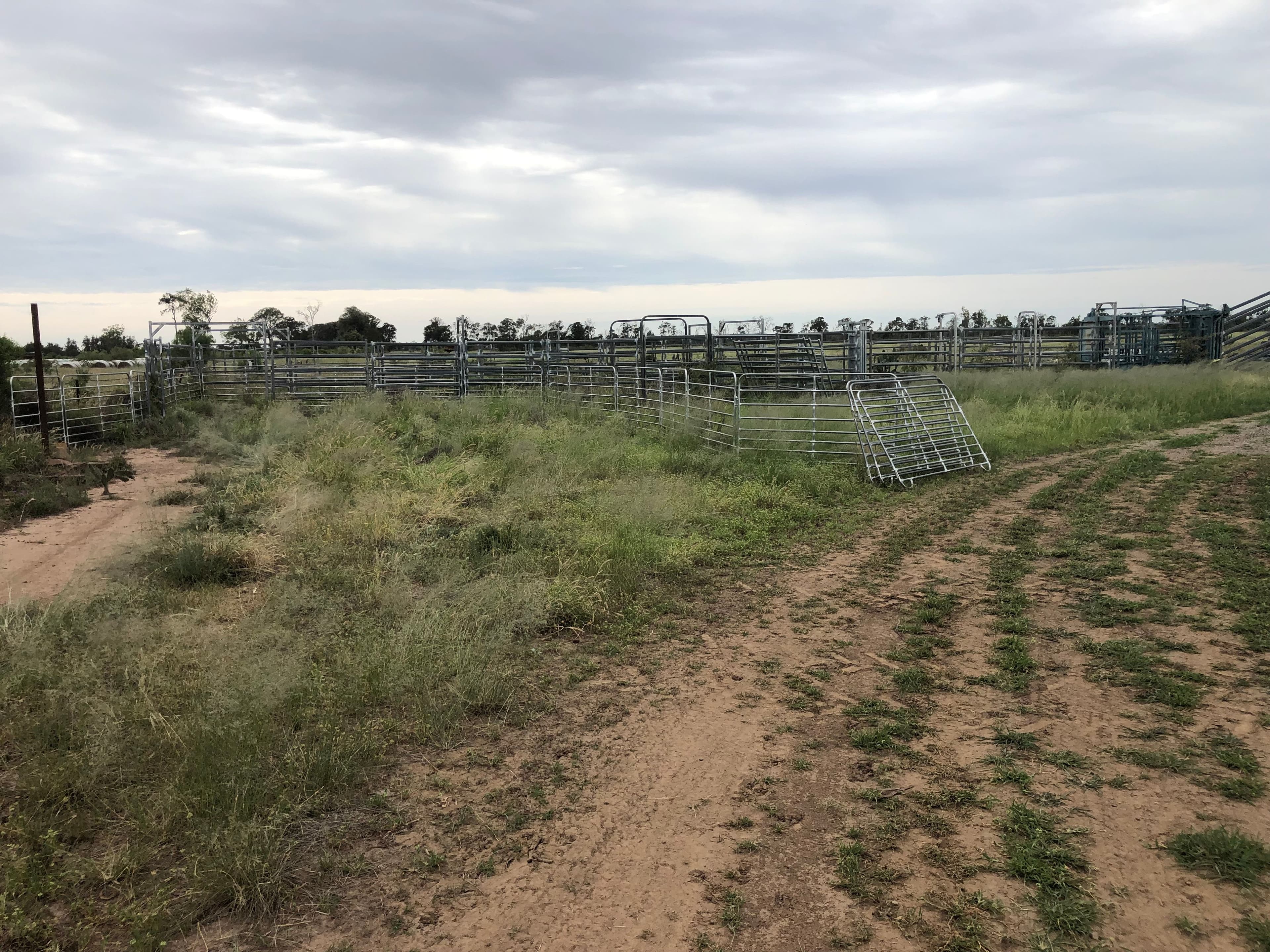 31850 Cunningham Highway, Goondiwindi QLD 4390, Goondiwindi - Thumbnail 4