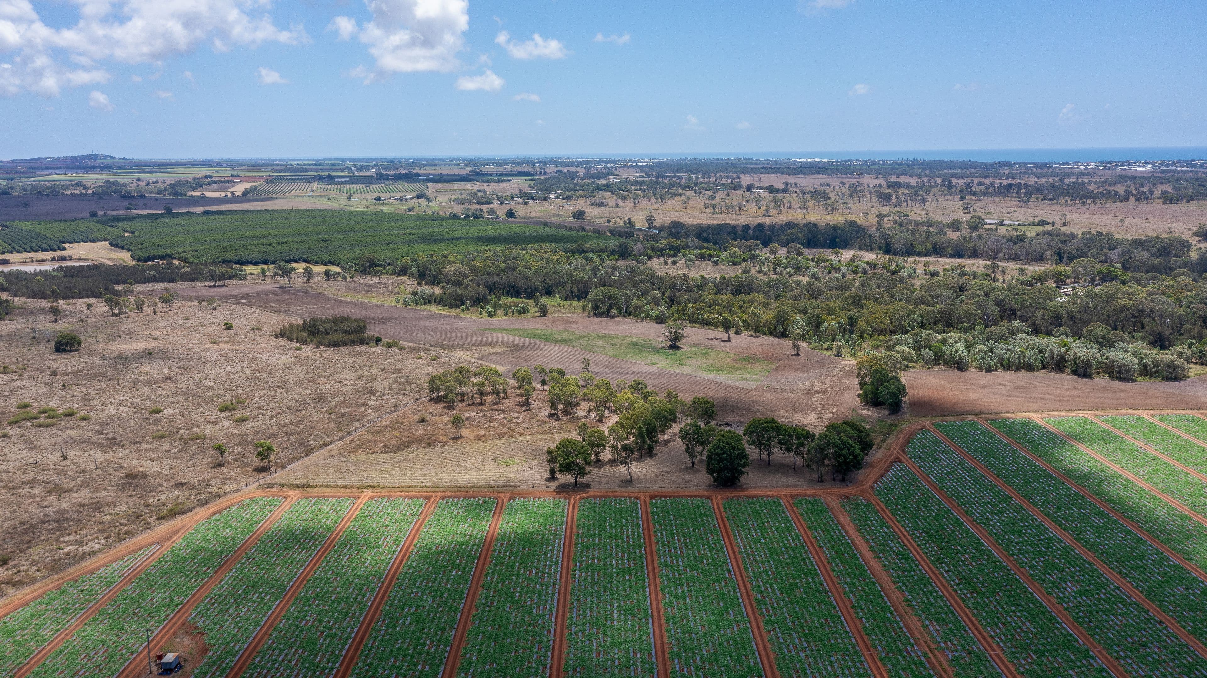 190 Riverview Road, Calavos QLD 4670, Calavos - Thumbnail 8