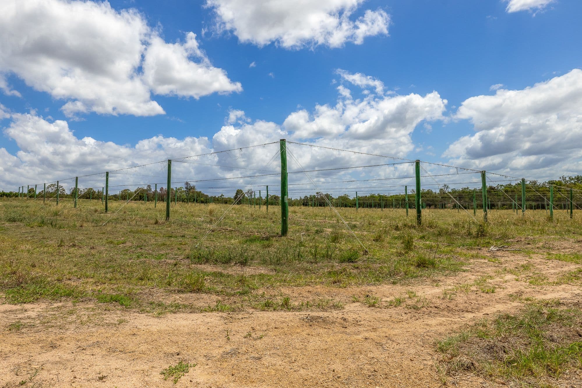 10 Dykehead Road, Boynewood QLD 4626, Boynewood - Thumbnail 7