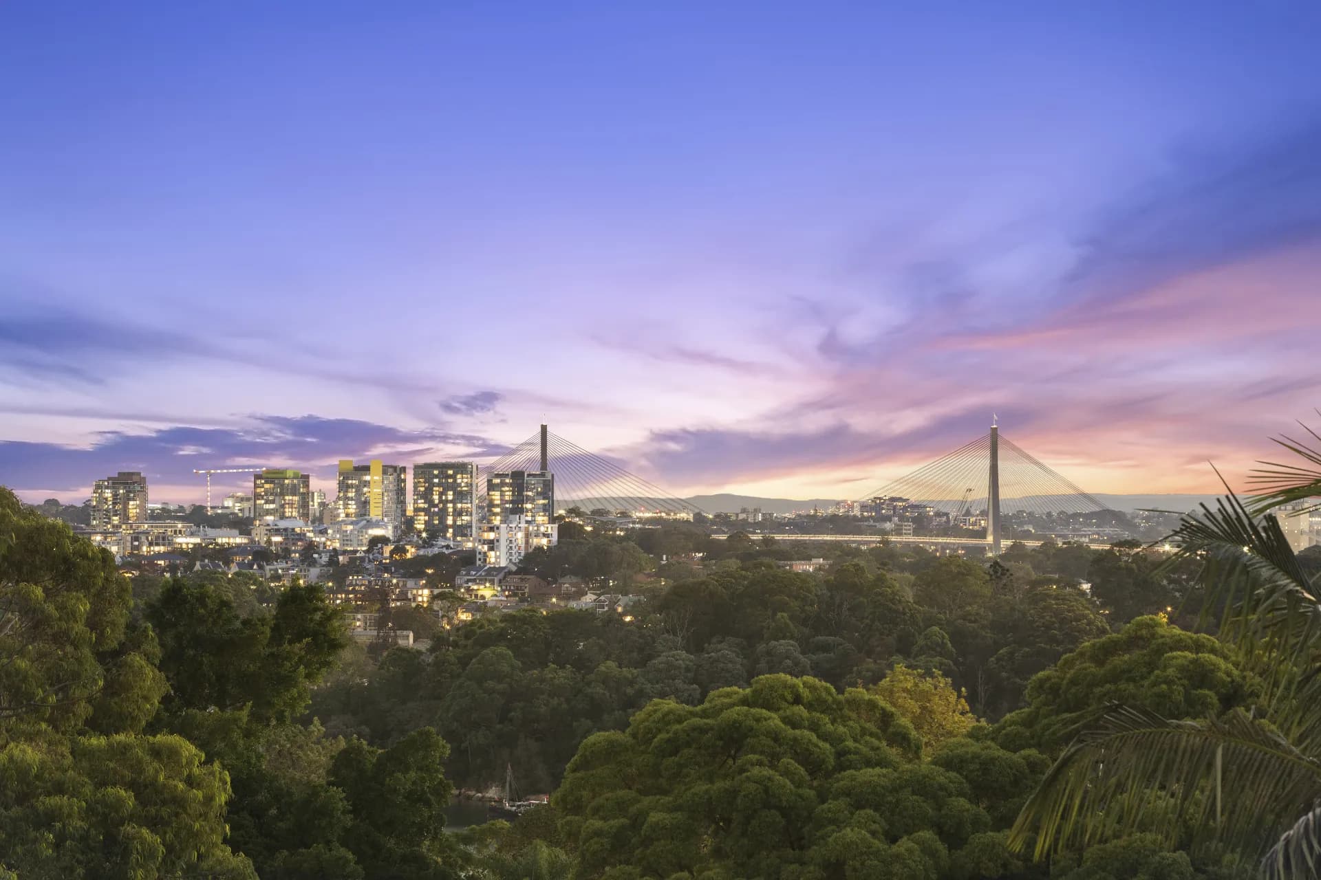 58  Euroka Street, Waverton, Waverton - Thumbnail 8