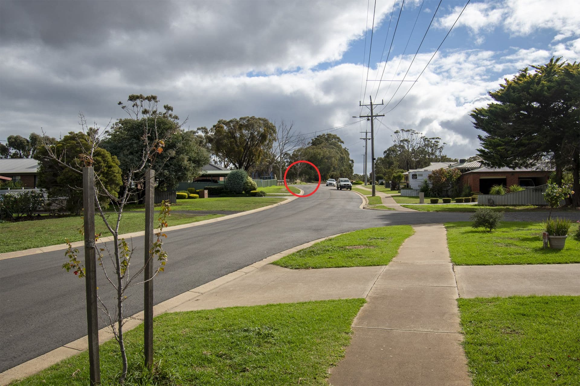 48 Griffiths Street, Maryborough, Maryborough - Thumbnail 6