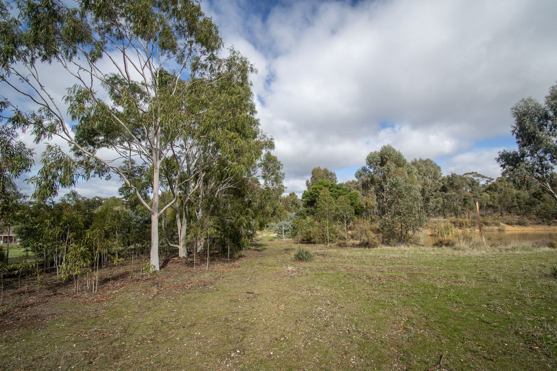 48 Griffiths Street, Maryborough, Maryborough - Thumbnail 7