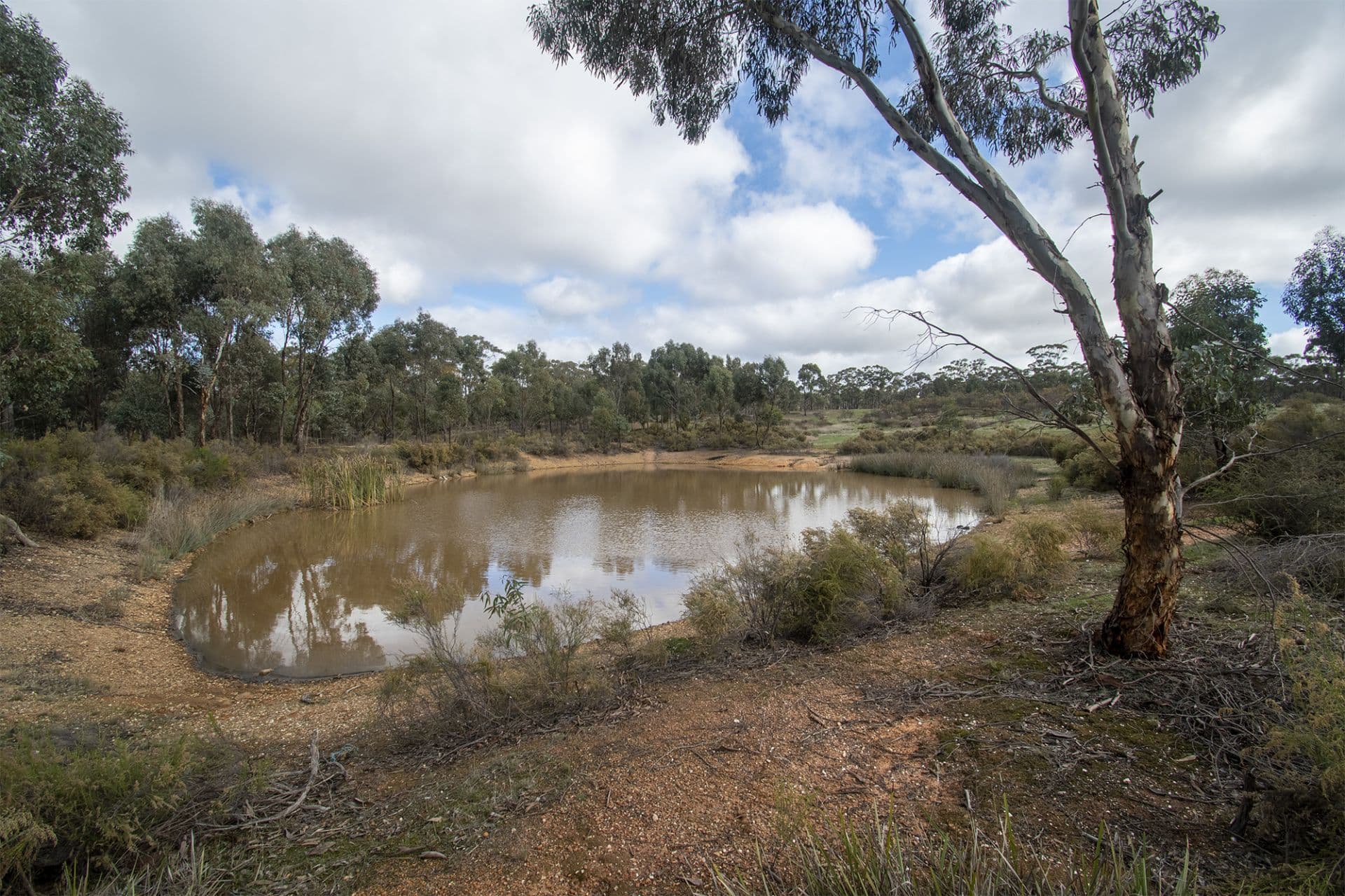 48 Griffiths Street, Maryborough, Maryborough - Thumbnail 8