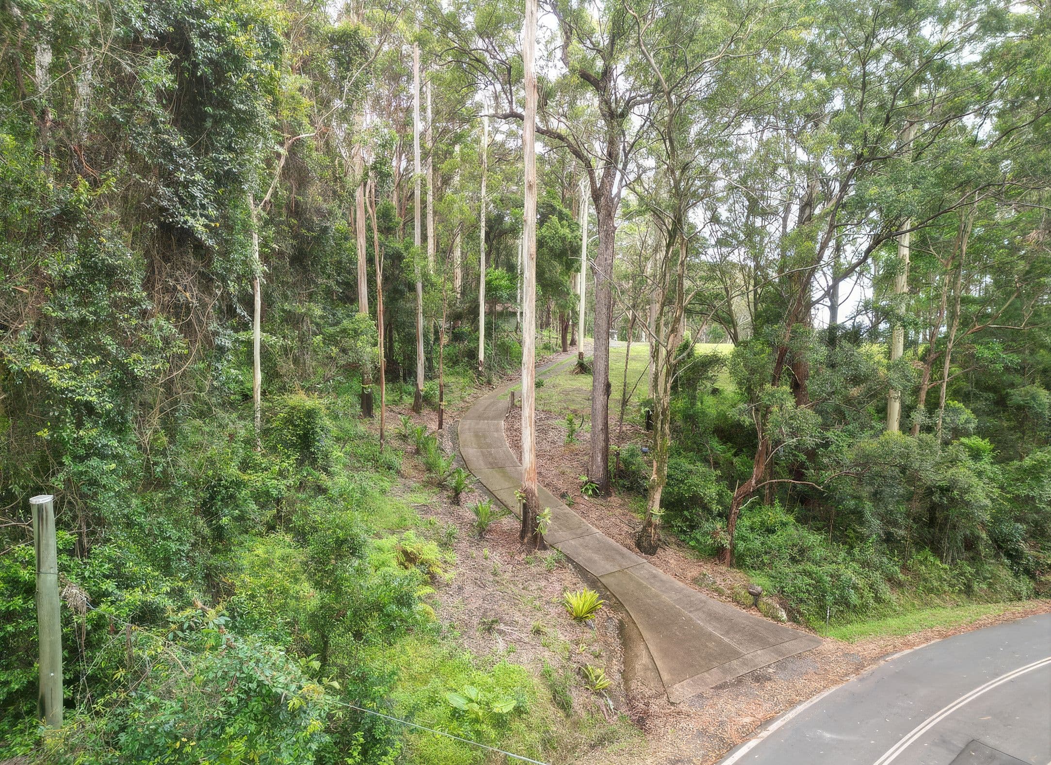 1806 Gold Coast Springbrook Road, Springbrook QLD 4213, Springbrook - Thumbnail 3