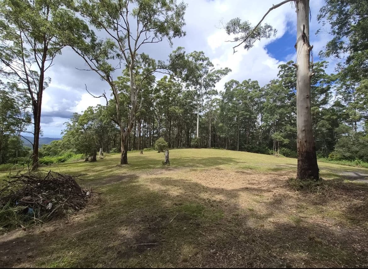 1806 Gold Coast Springbrook Road, Springbrook QLD 4213, Springbrook - Thumbnail 4