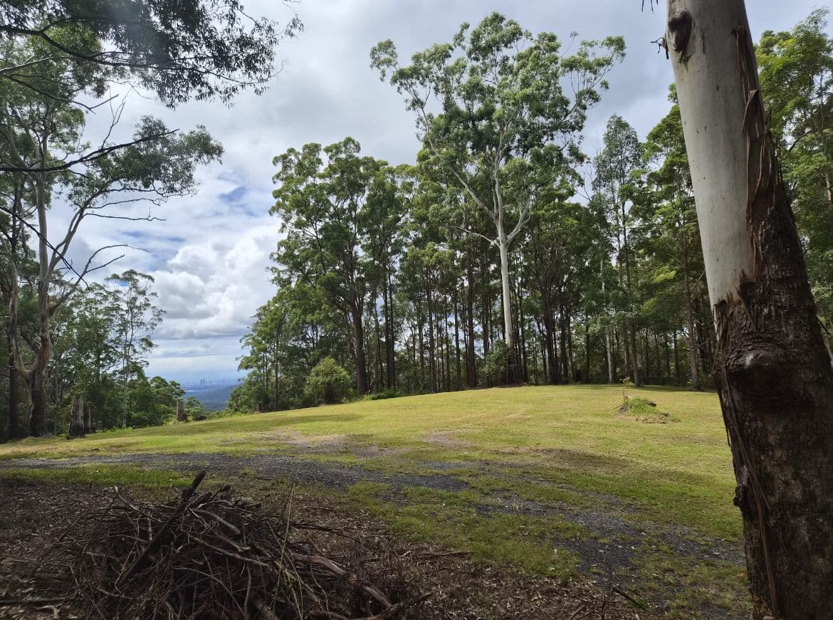1806 Gold Coast Springbrook Road, Springbrook QLD 4213, Springbrook - Thumbnail 5