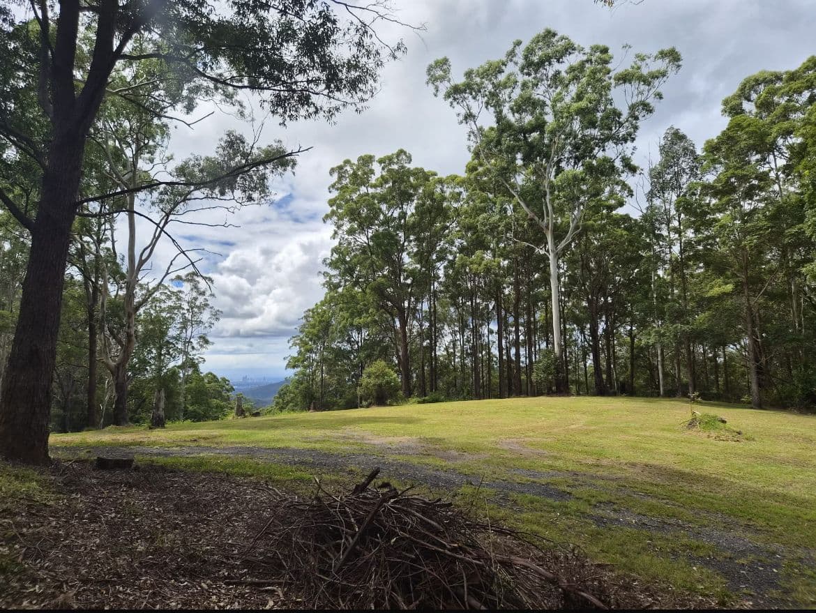 1806 Gold Coast Springbrook Road, Springbrook QLD 4213, Springbrook - Thumbnail 6