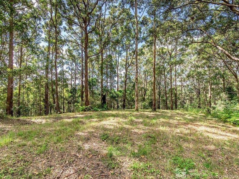 1806 Gold Coast Springbrook Road, Springbrook QLD 4213, Springbrook - Thumbnail 7