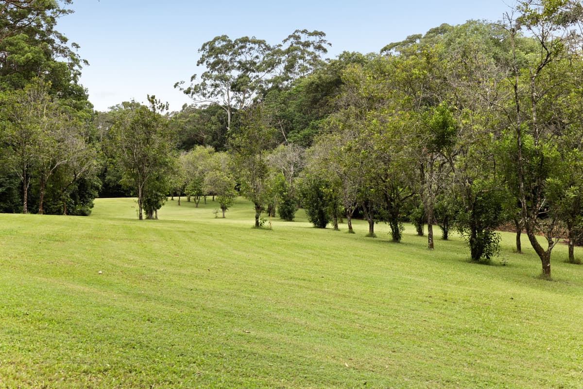 186 Old Palmwoods Road, West Woombye - Thumbnail 3