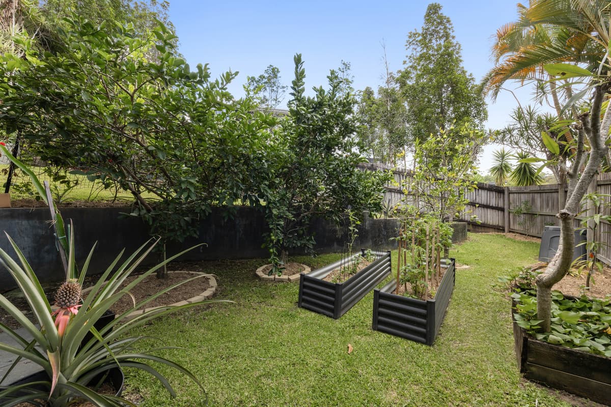 21 Ridge Court, Mooloolah Valley - Thumbnail 4