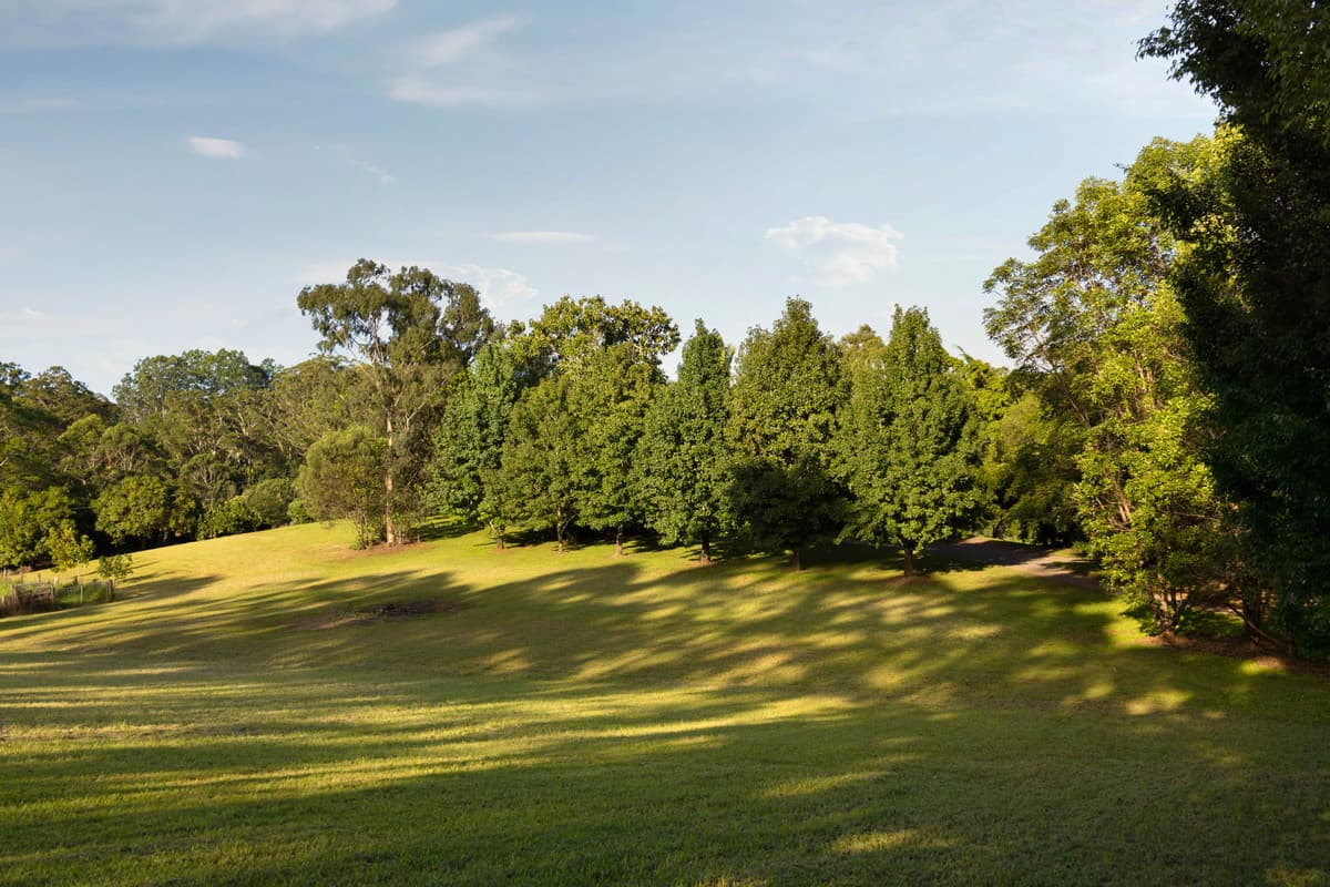 114 Nicklin Road, Palmwoods - Thumbnail 3