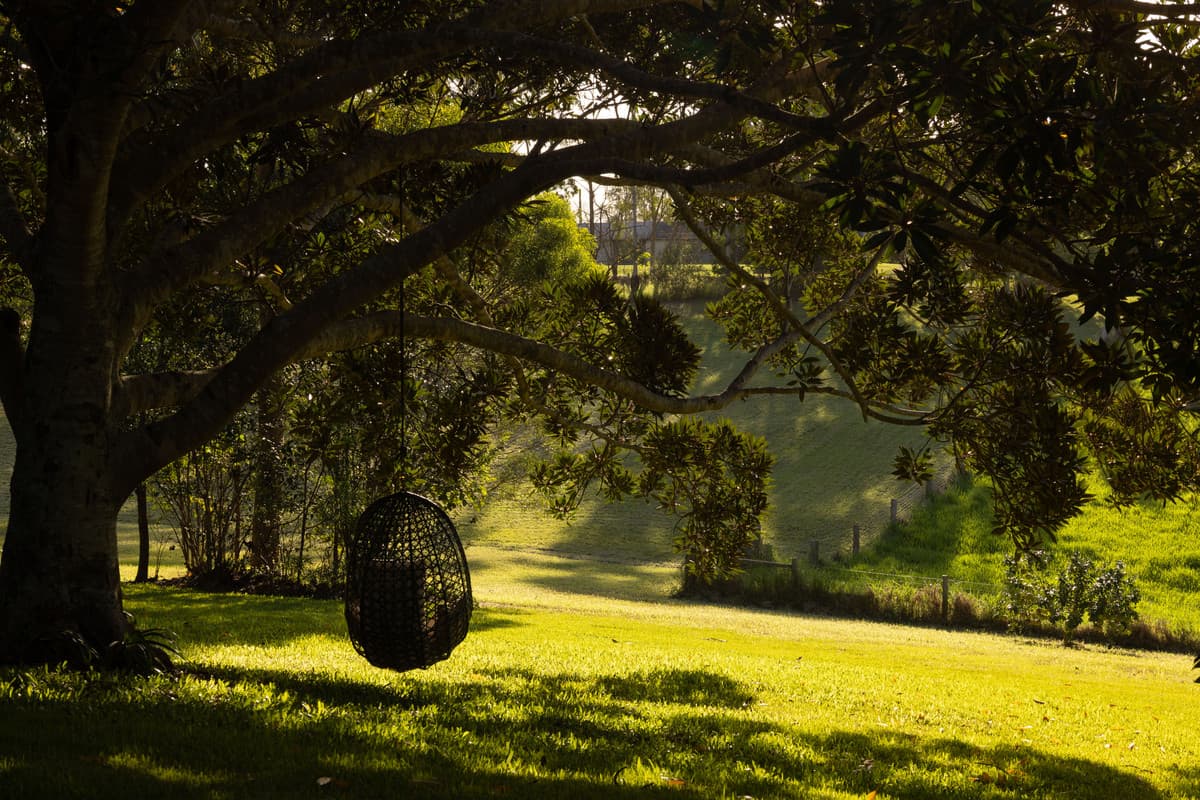 114 Nicklin Road, Palmwoods - Thumbnail 6