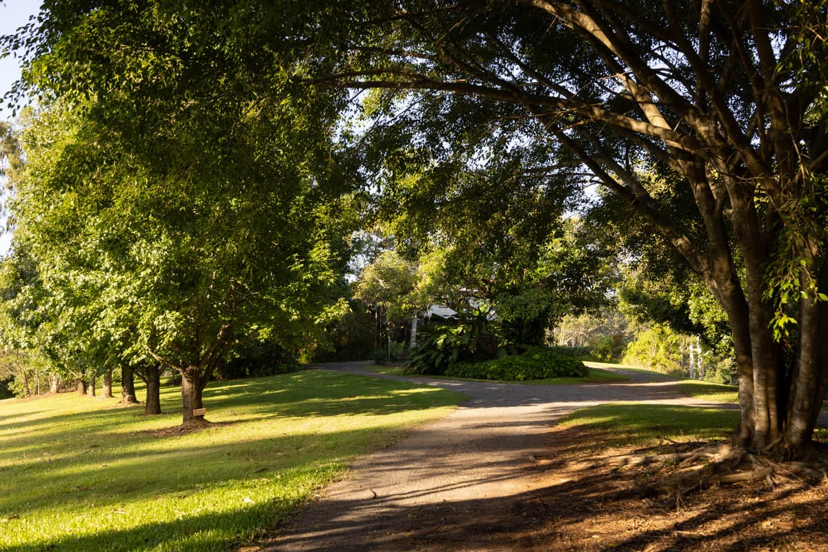 114 Nicklin Road, Palmwoods - Thumbnail 7