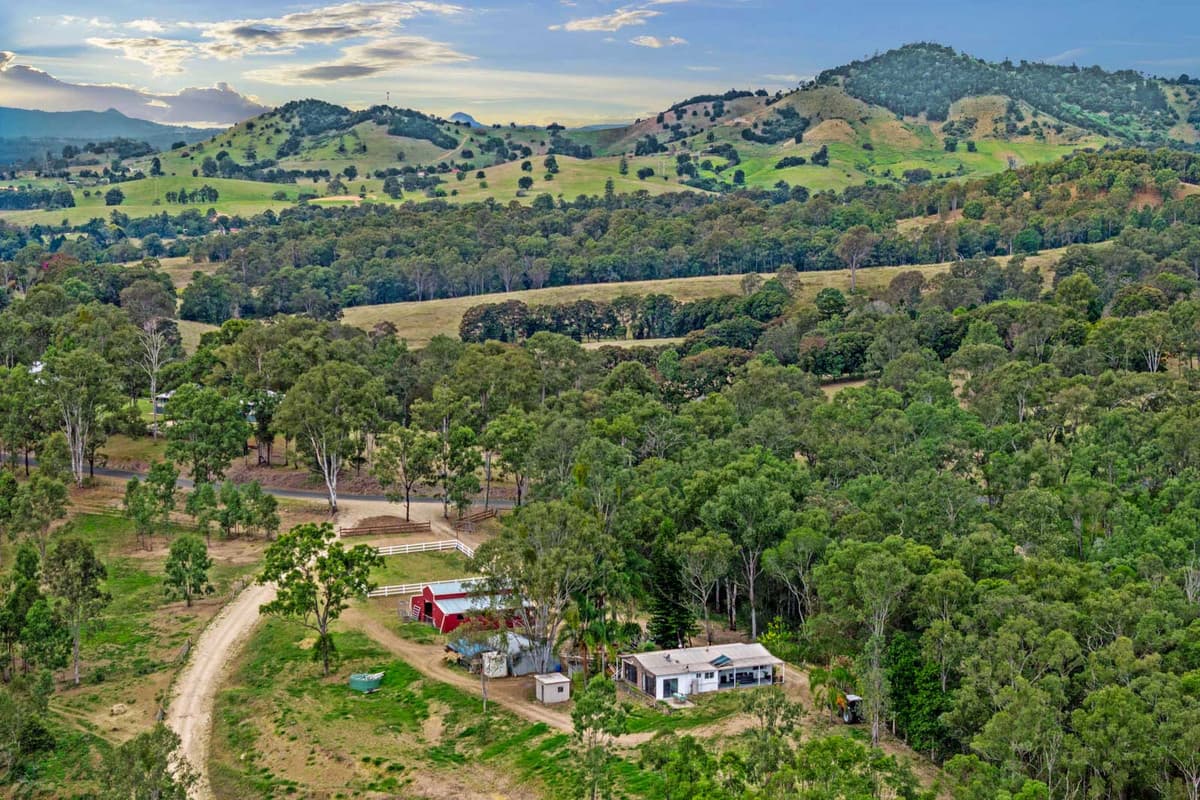236 Burgess Road, Calico Creek - Thumbnail 2