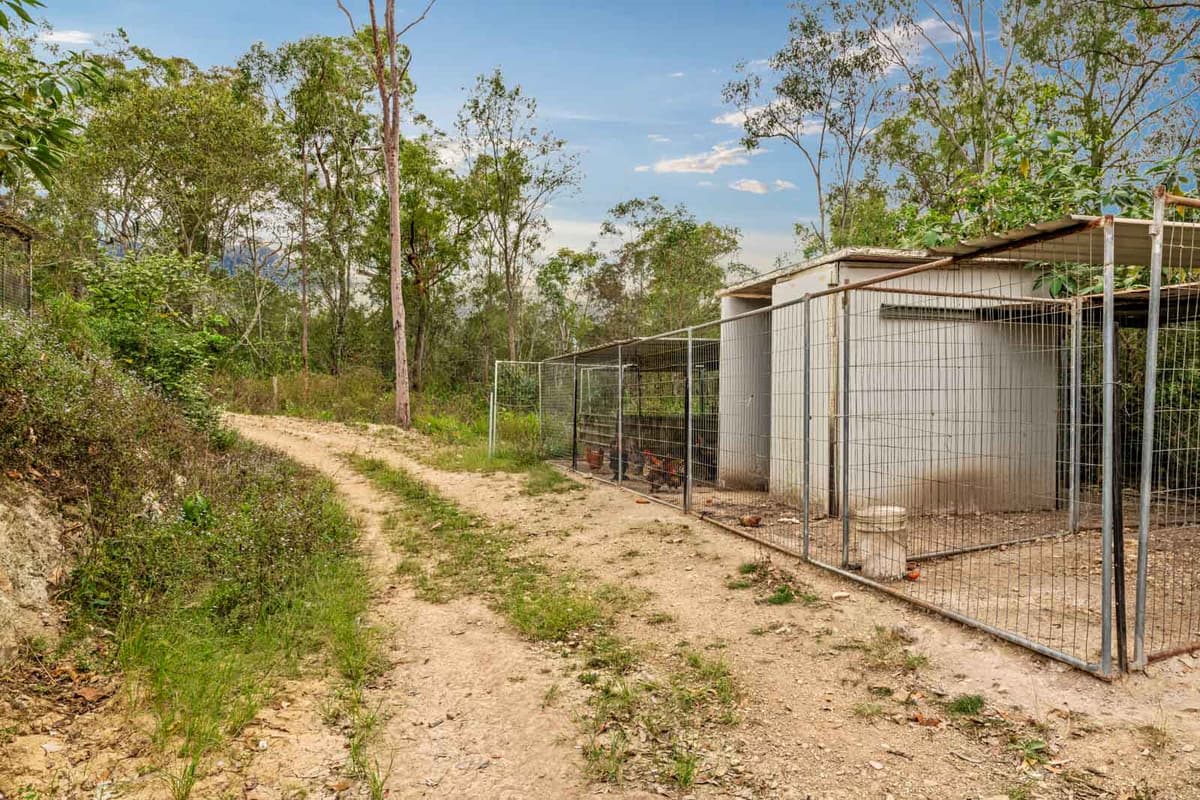 236 Burgess Road, Calico Creek - Thumbnail 8