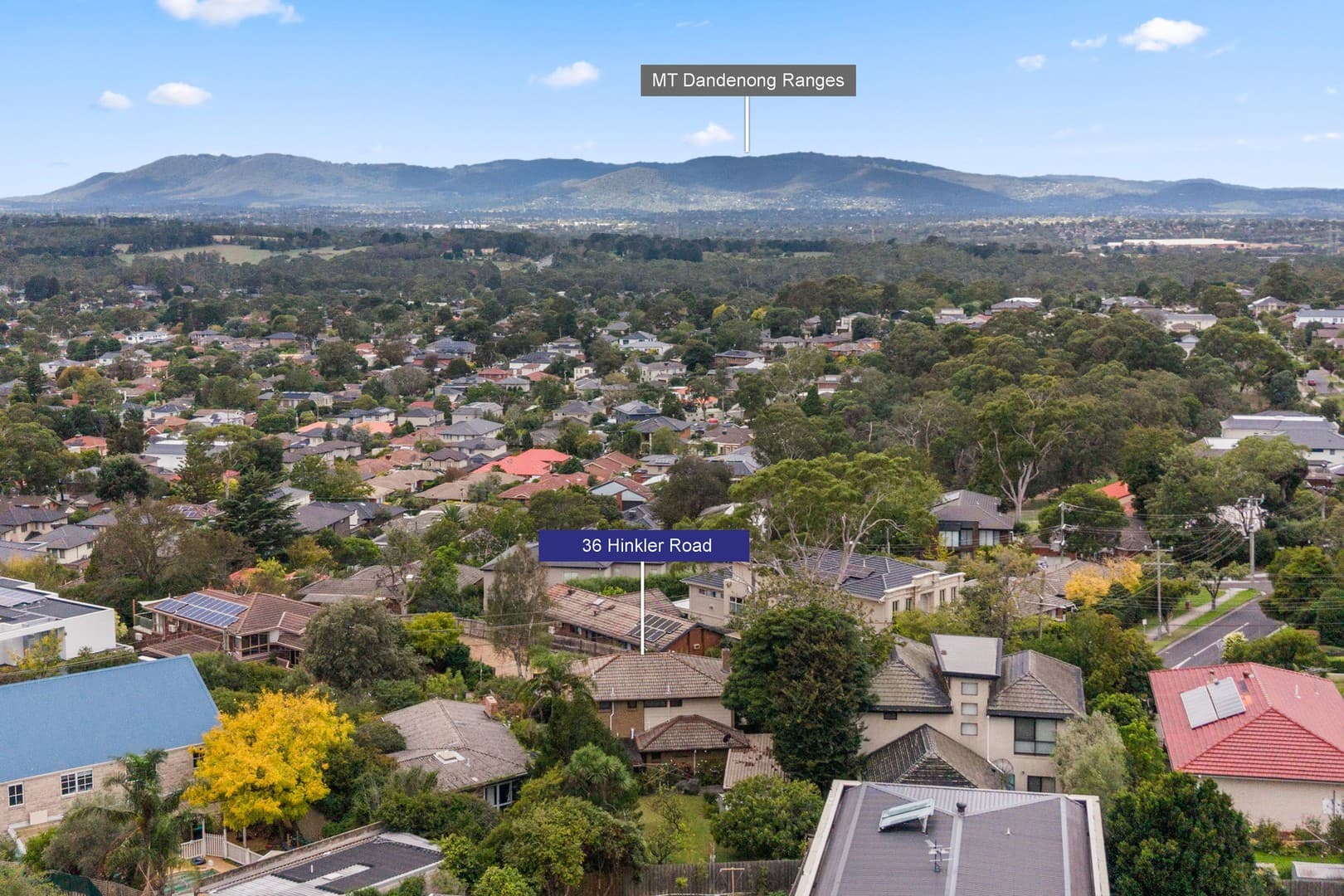 36 Hinkler Road, Glen Waverley, VIC 3150, Glen Waverley - Thumbnail 4