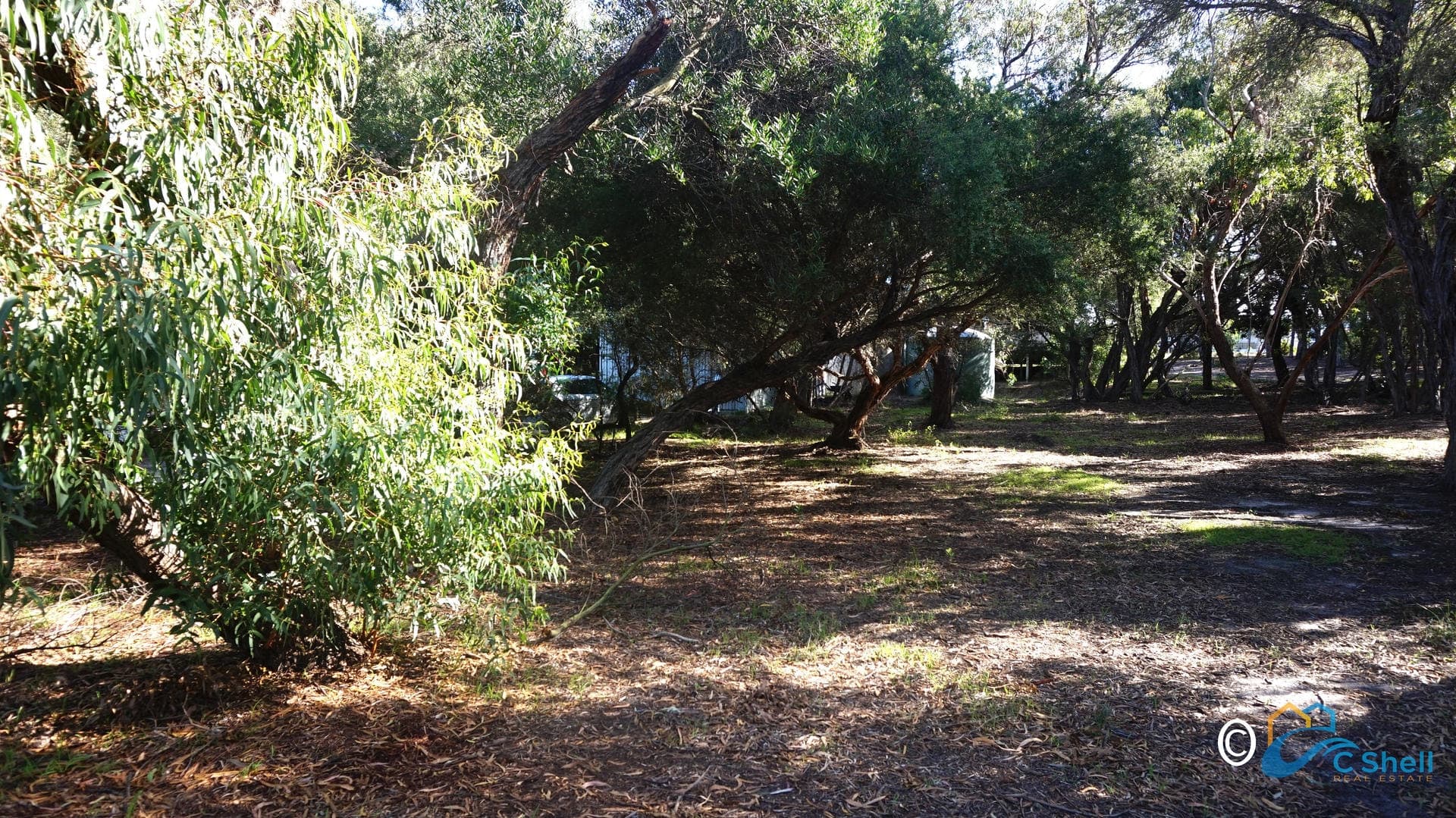 32 Thriptomene Street Loch Sport, VIC, Loch Sport - Thumbnail 4