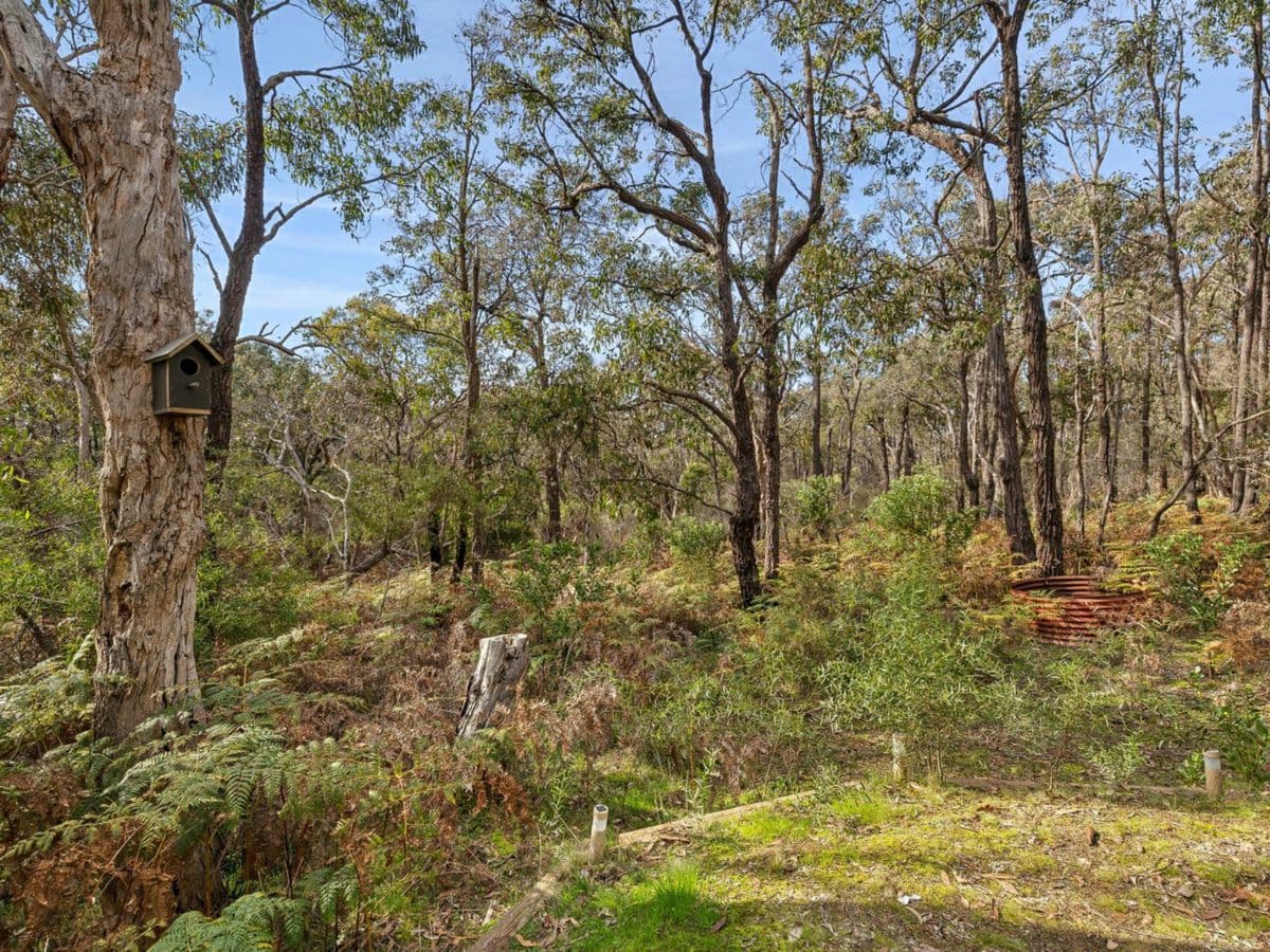 155 Jarosite Road, BELLS BEACH, Bells Beach - Thumbnail 8