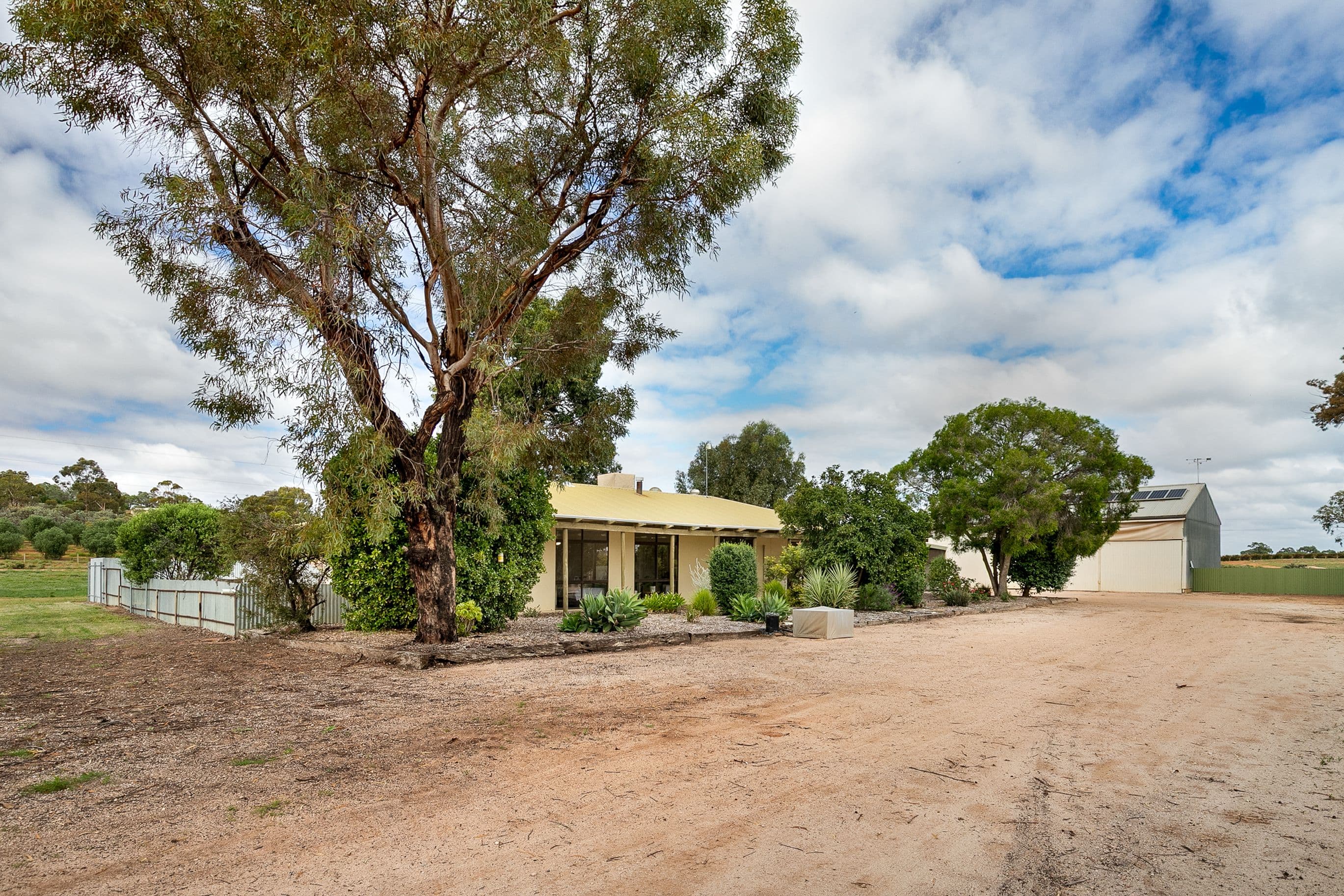 407 Lyrup Main Road, Lyrup SA 5343, Lyrup - Thumbnail 2
