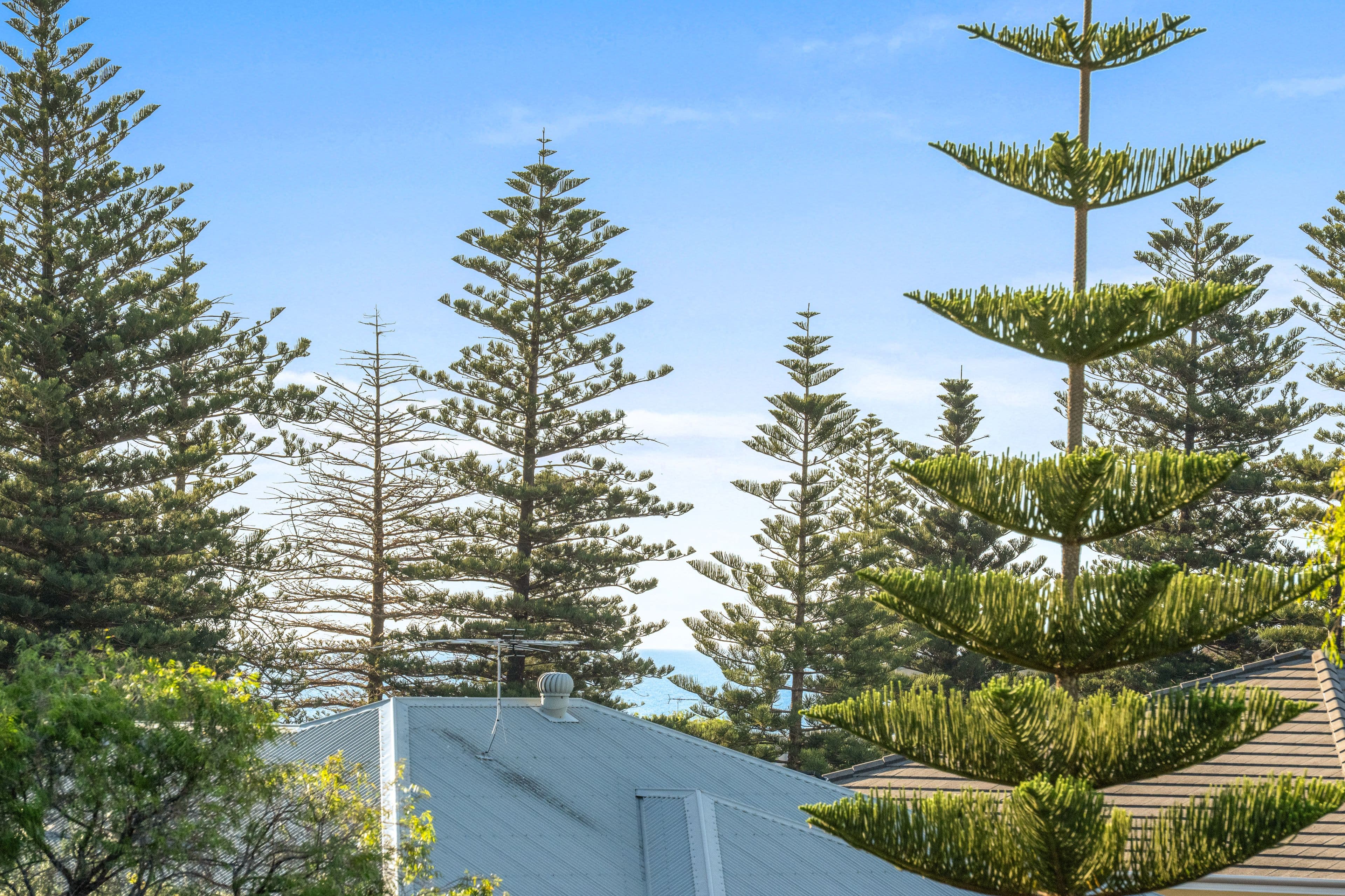 51 Eric Street, Cottesloe WA 6011, Cottesloe - Thumbnail 3