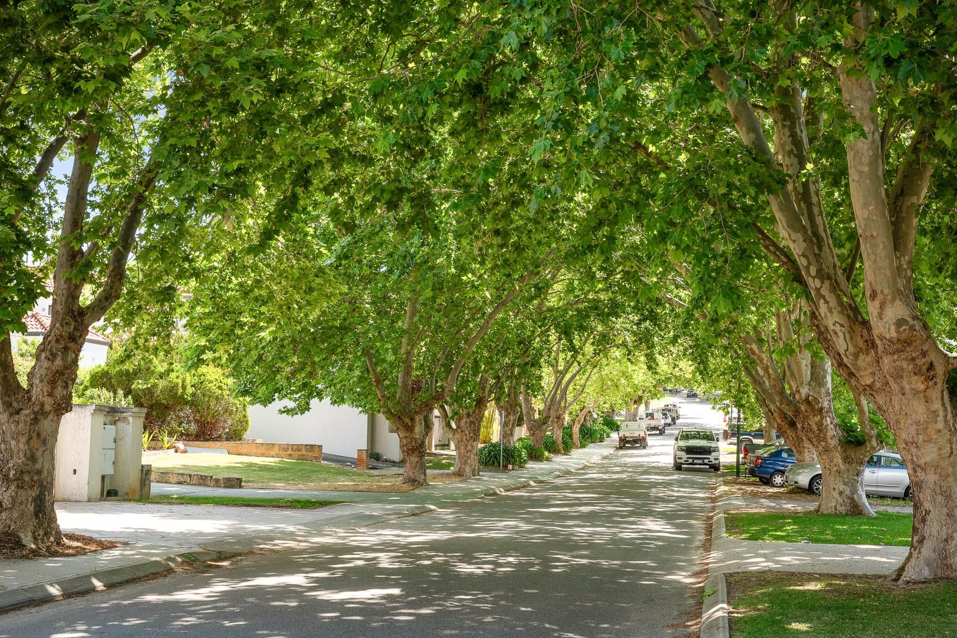 10B Tweeddale Road Applecross WA, Applecross - Image 1