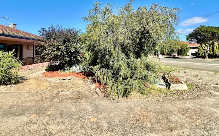 47  Blantyre Street, Katanning, WA, 6317, Katanning - Thumbnail 3