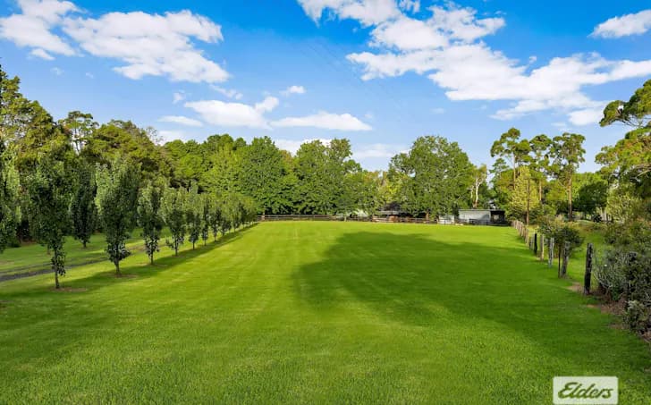 380 George Downes Drive, Central Mangrove, NSW, 2250, Central Mangrove - Thumbnail 4
