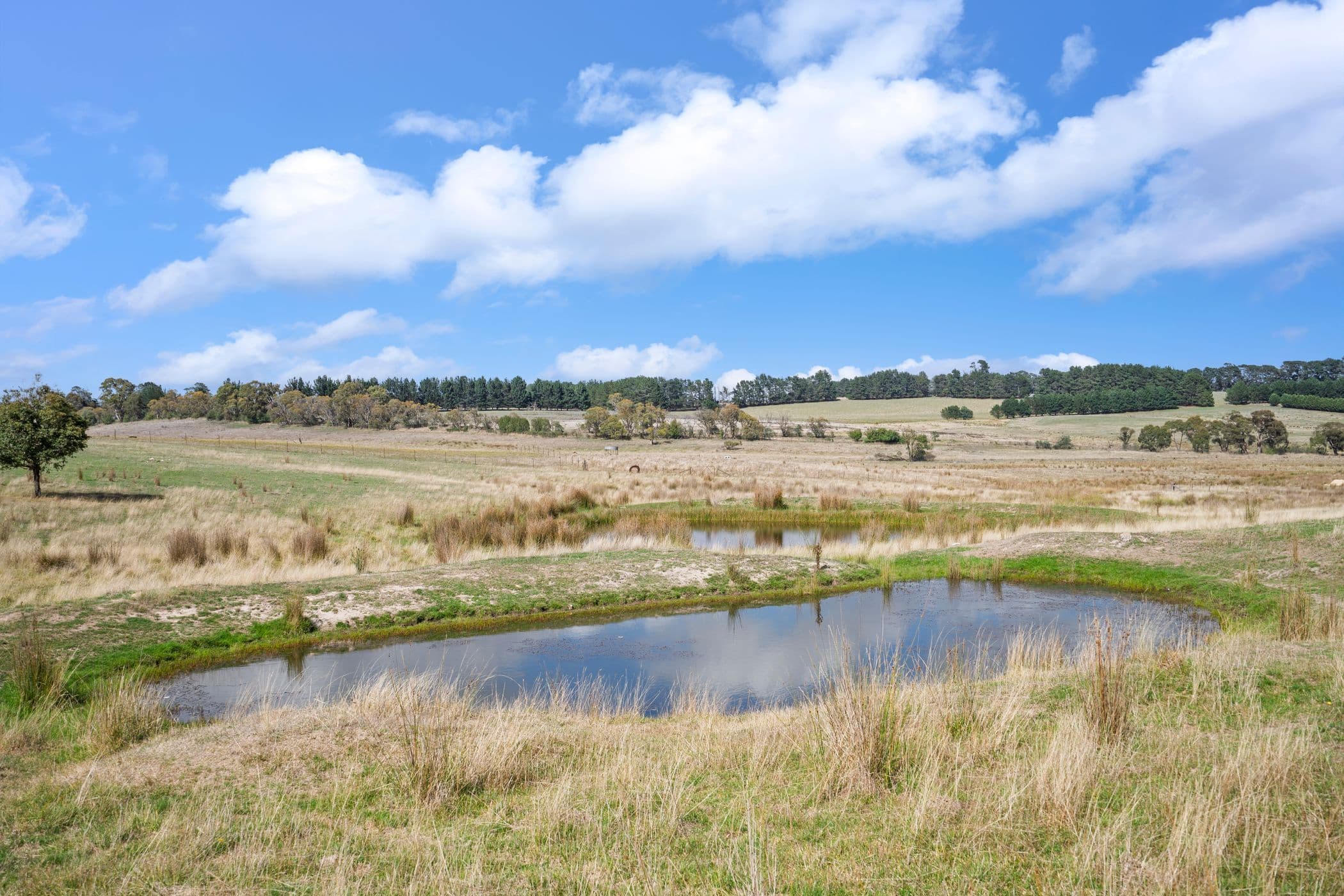 2770 Woodhouselee Road, Laggan via, Crookwell NSW 2583, Crookwell - Thumbnail 8
