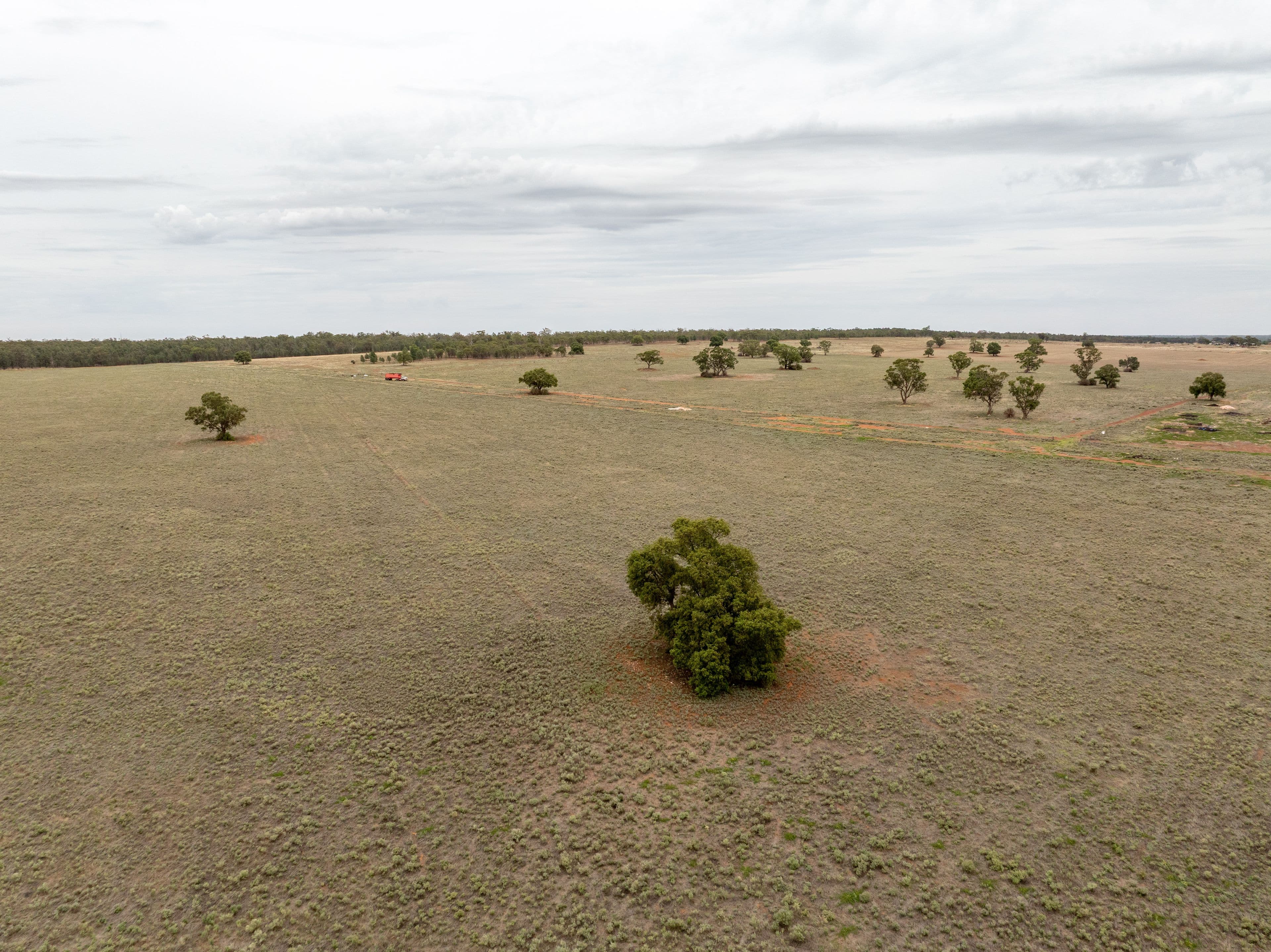 Narrandera NSW 2700, Narrandera - Thumbnail 2