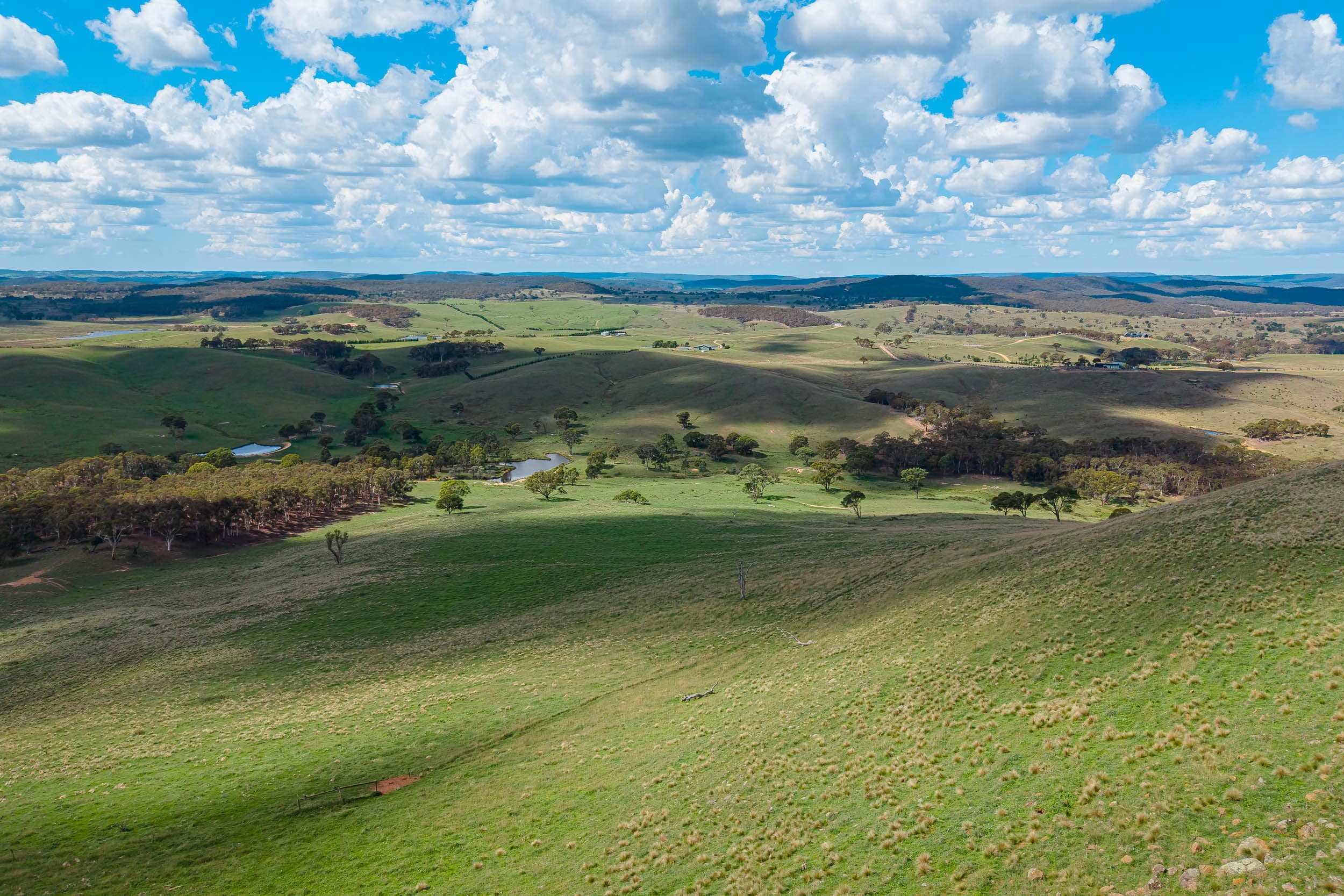 68 Woodhouselee Road, Wayo via, Goulburn NSW 2580, Wayo - Thumbnail 5
