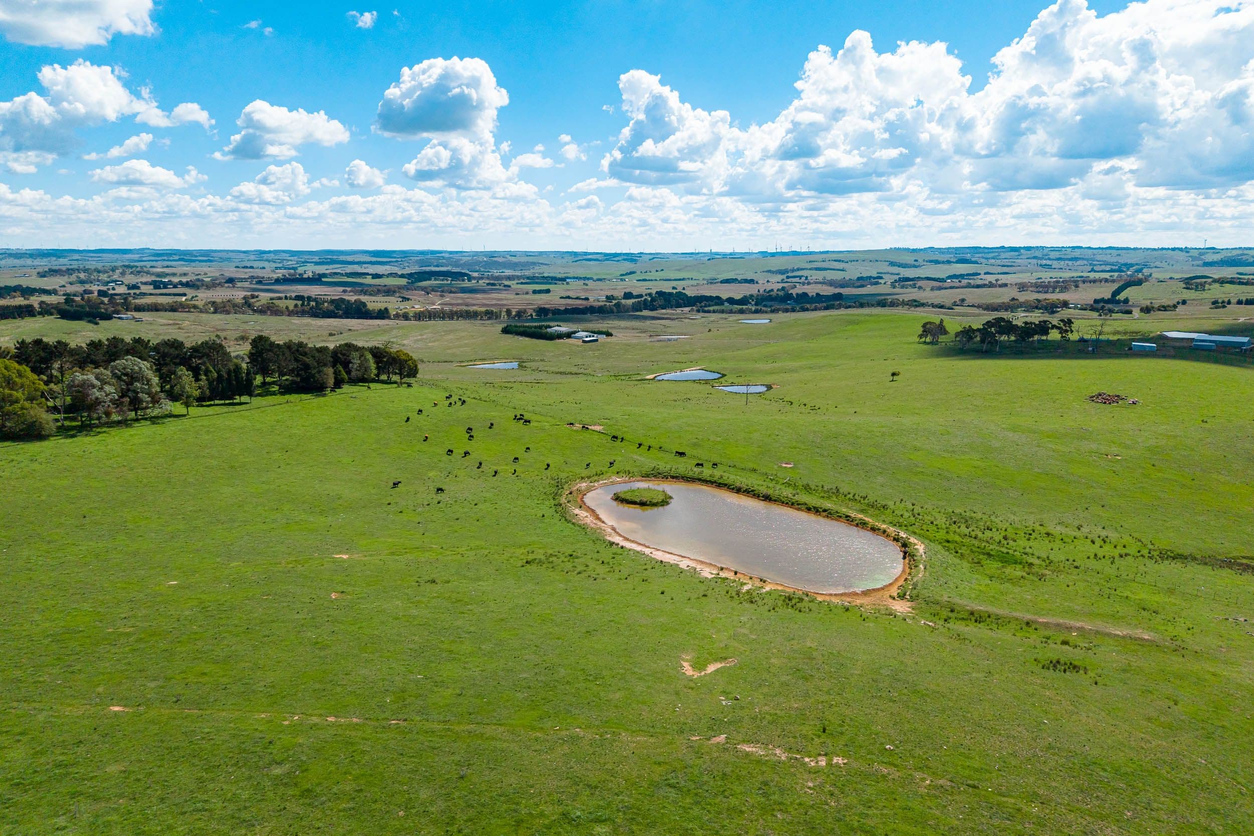 68 Woodhouselee Road, Wayo via, Goulburn NSW 2580, Wayo - Thumbnail 7