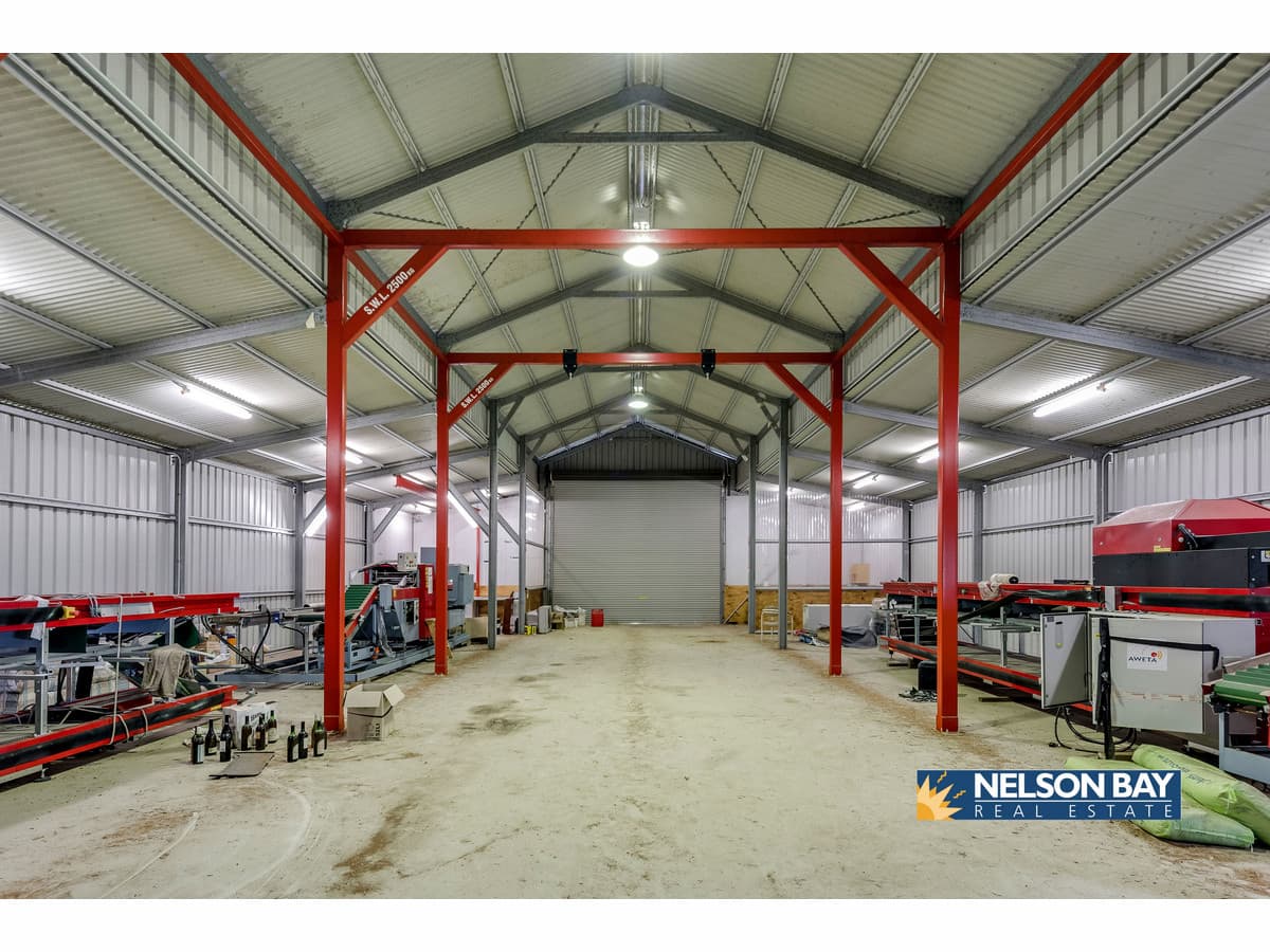 3907 Nelson Bay Road, Bobs Farm NSW 2316, Bobs Farm - Thumbnail 4