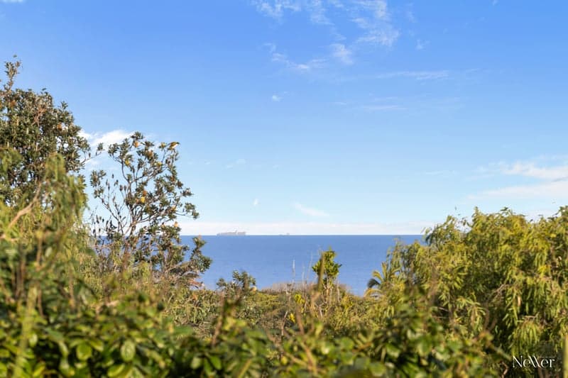 87 Orient Drive, Sunrise Beach - Thumbnail 4