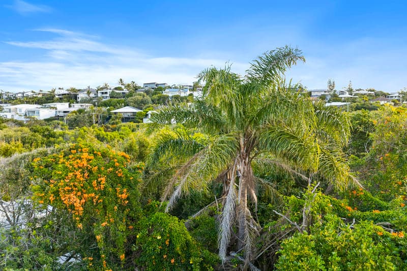 21 Corsair Crescent, Sunrise Beach - Thumbnail 6