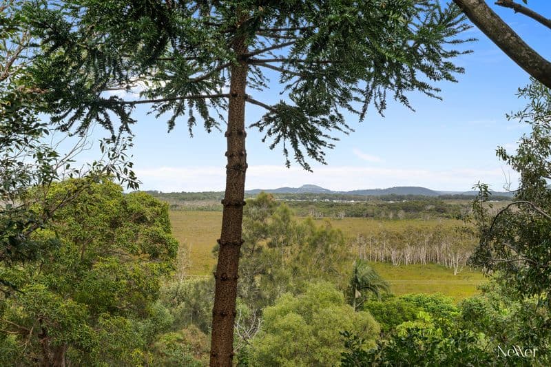 31 Cormorant Crescent, Peregian Beach - Image 1